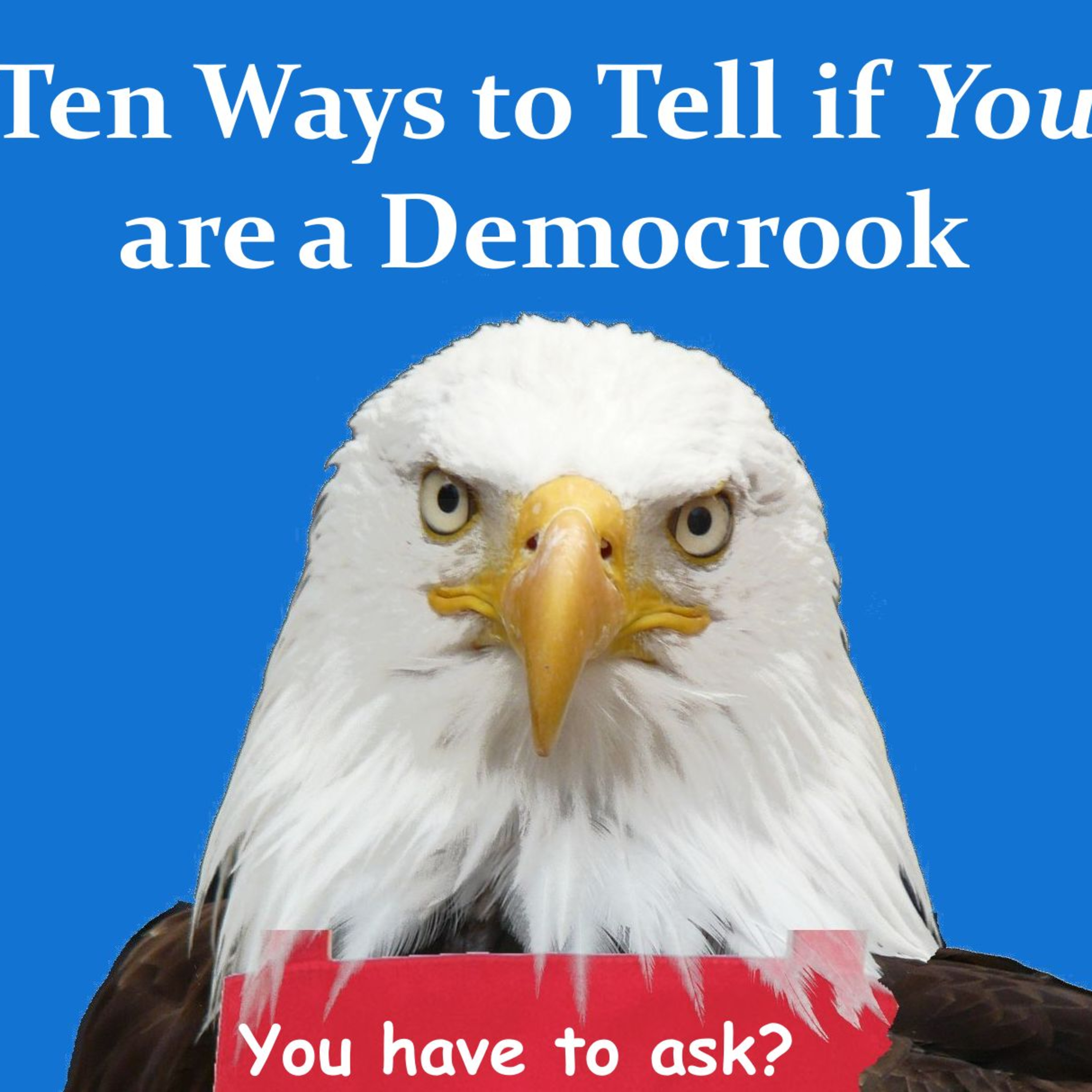 Ten Ways to Tell if You are a Democrook  episode artwork