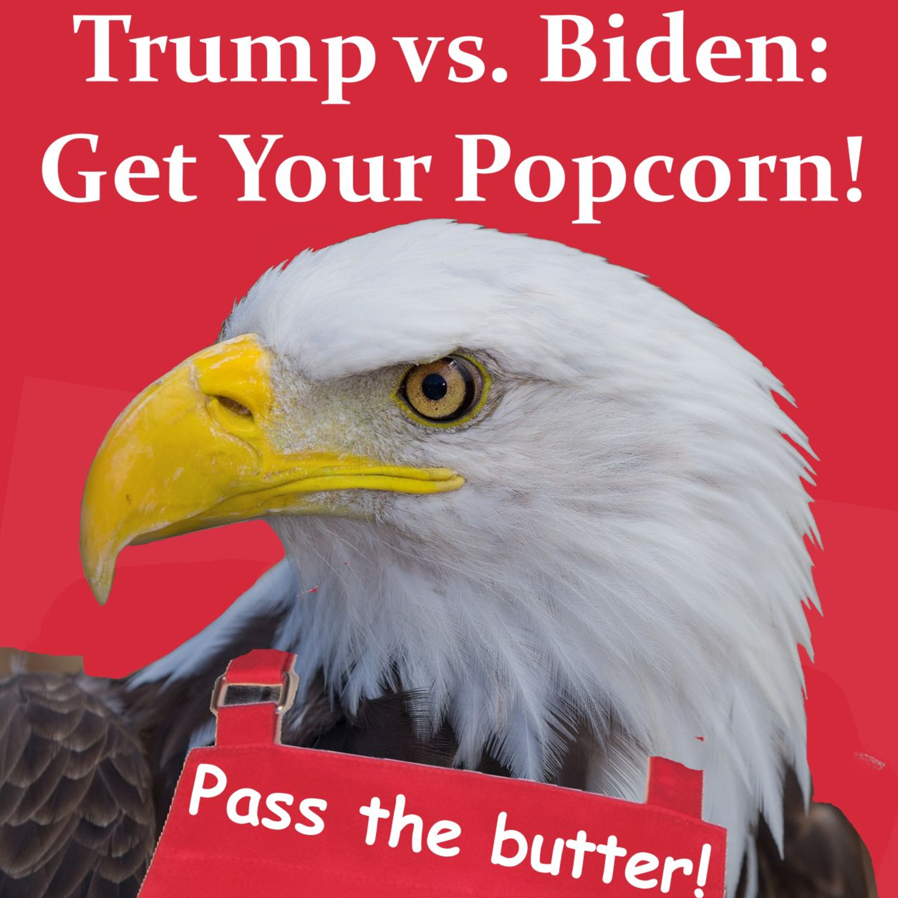 Trump vs. Biden: Get Your Popcorn! episode artwork