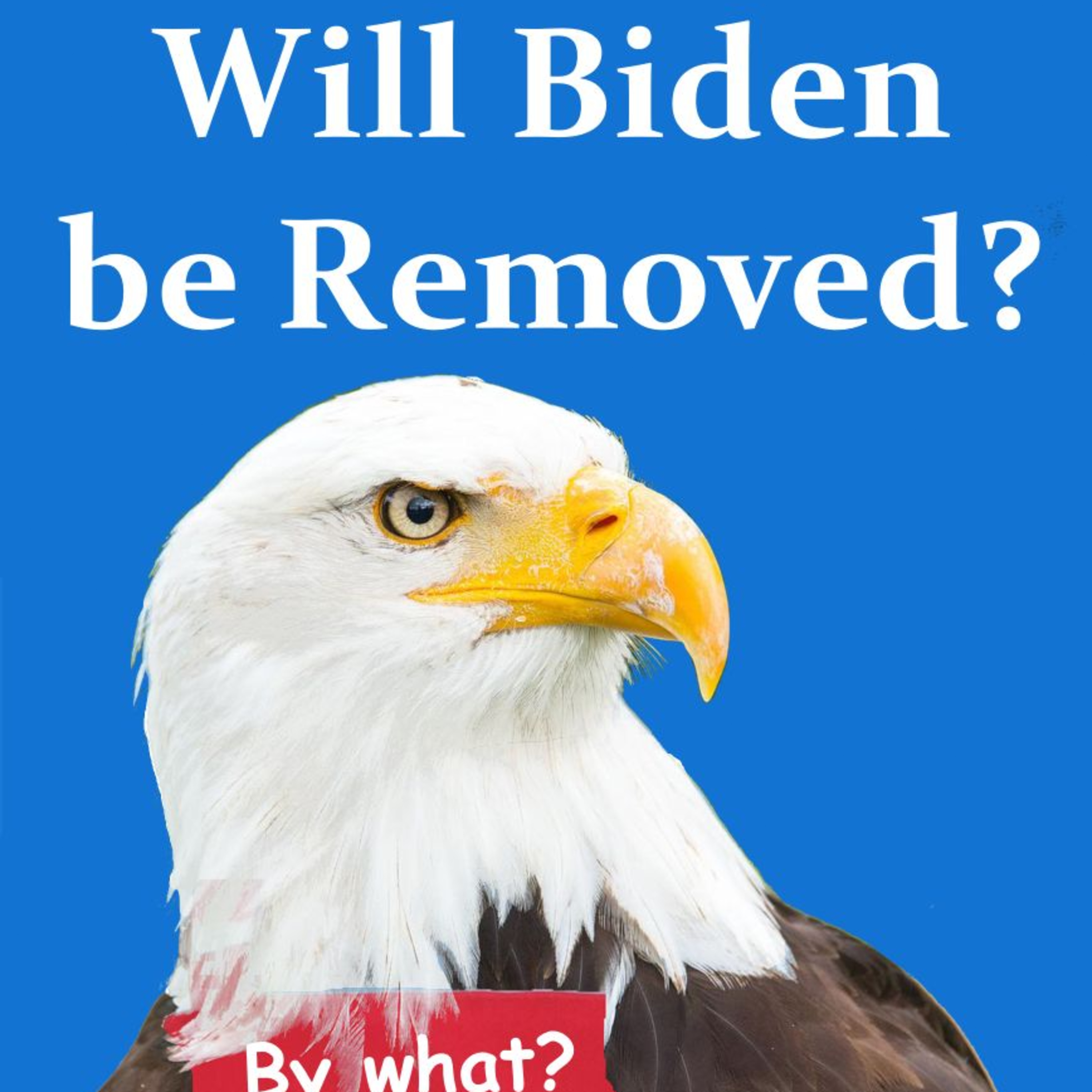 Will Biden be Removed? episode artwork