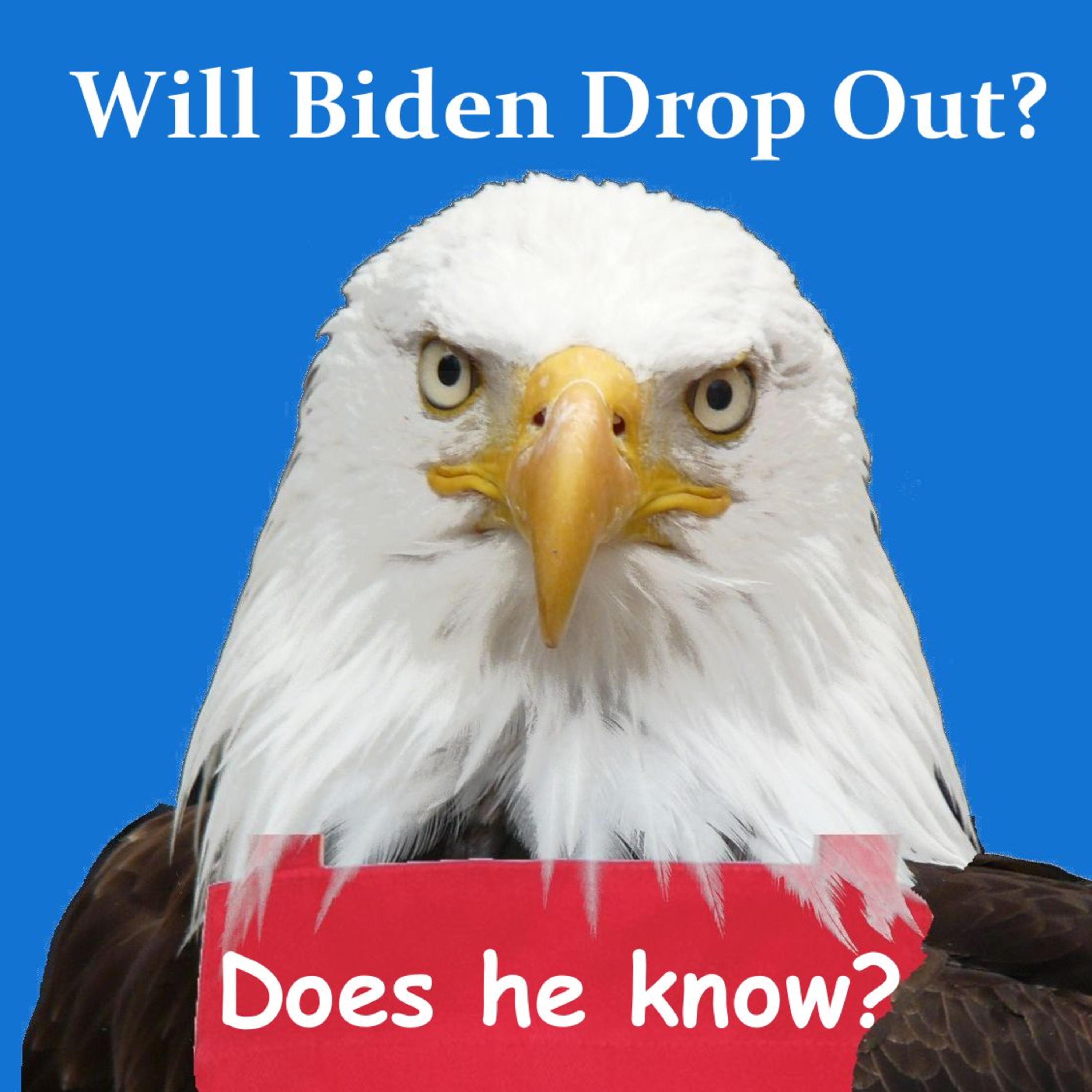 Will Biden Drop Out? episode artwork