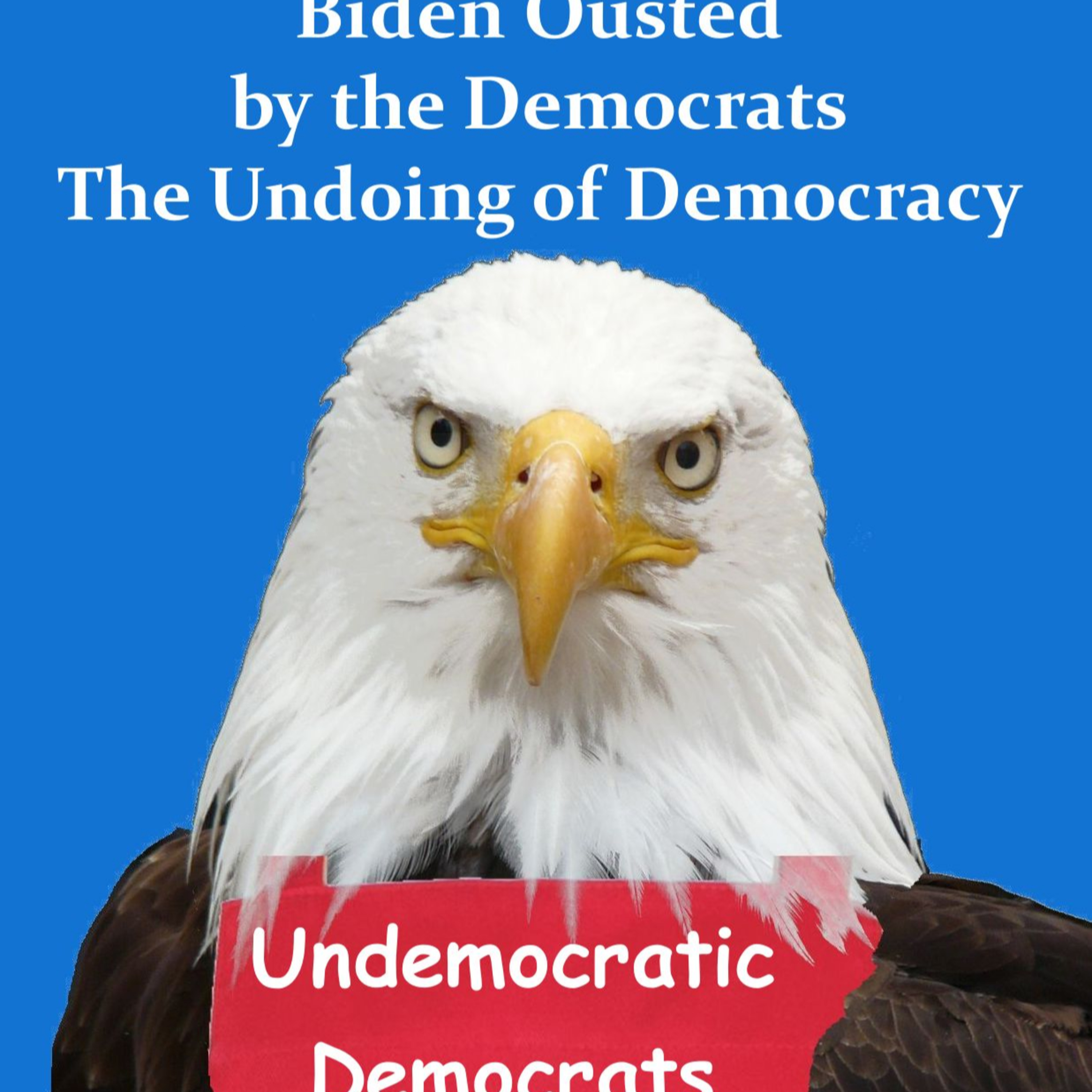 Biden Ousted by the Democrats: The Undoing of Democracy episode artwork