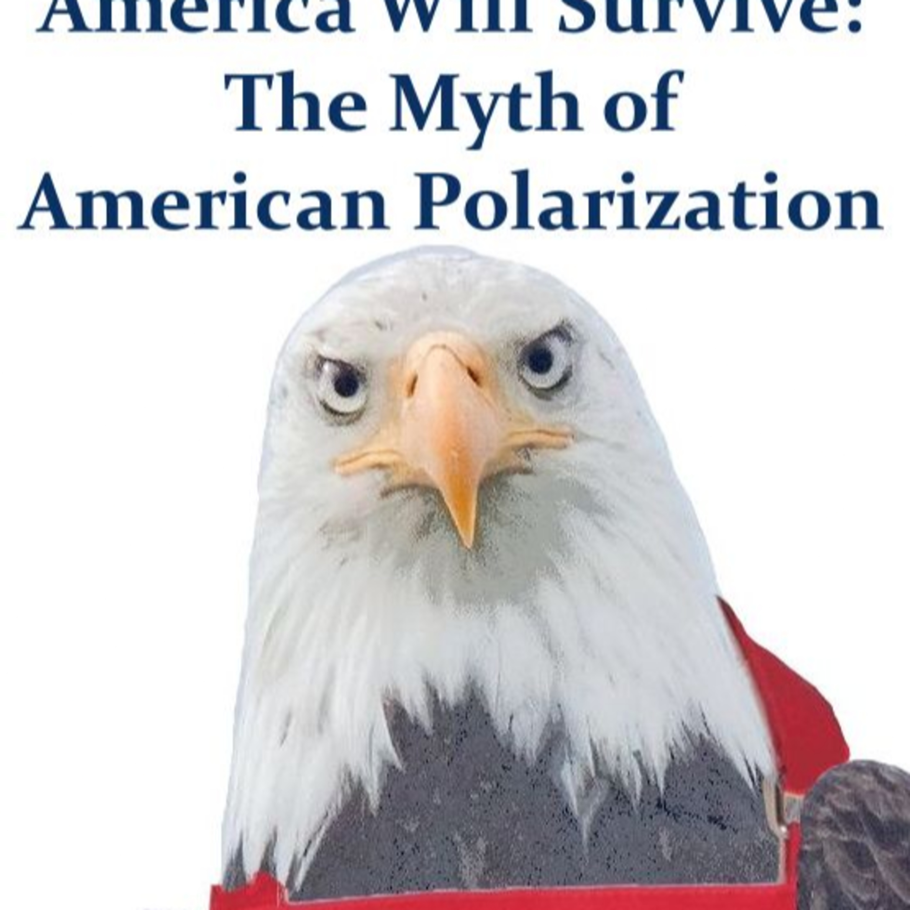 America Will Survive: The Myth of American Polarization episode artwork