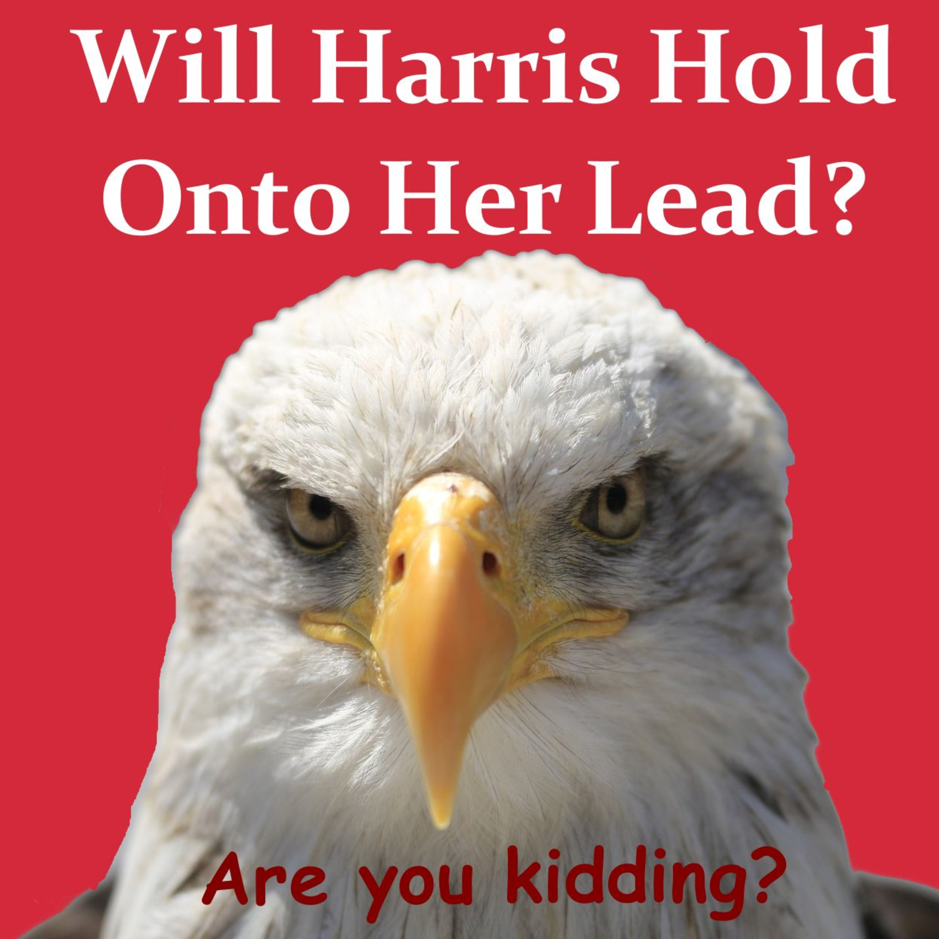 Will Harris Hold Onto Her Lead? episode artwork