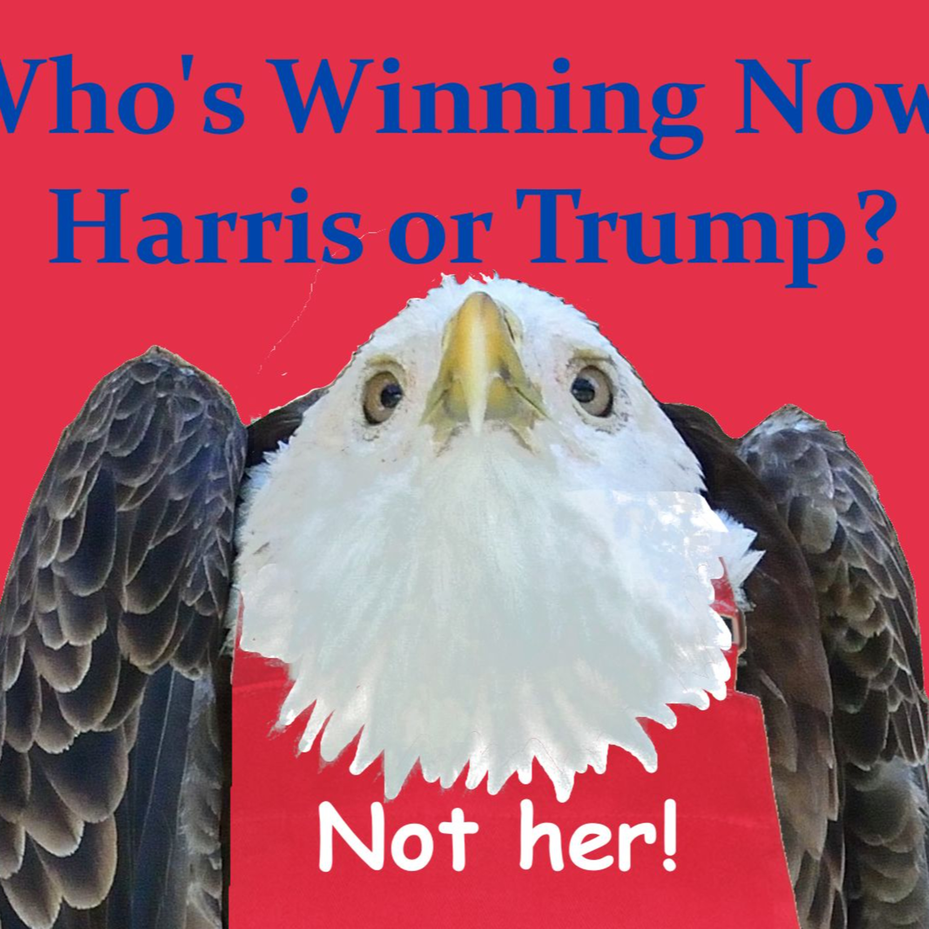 Who's Winning Now? Harris or Trump? episode artwork