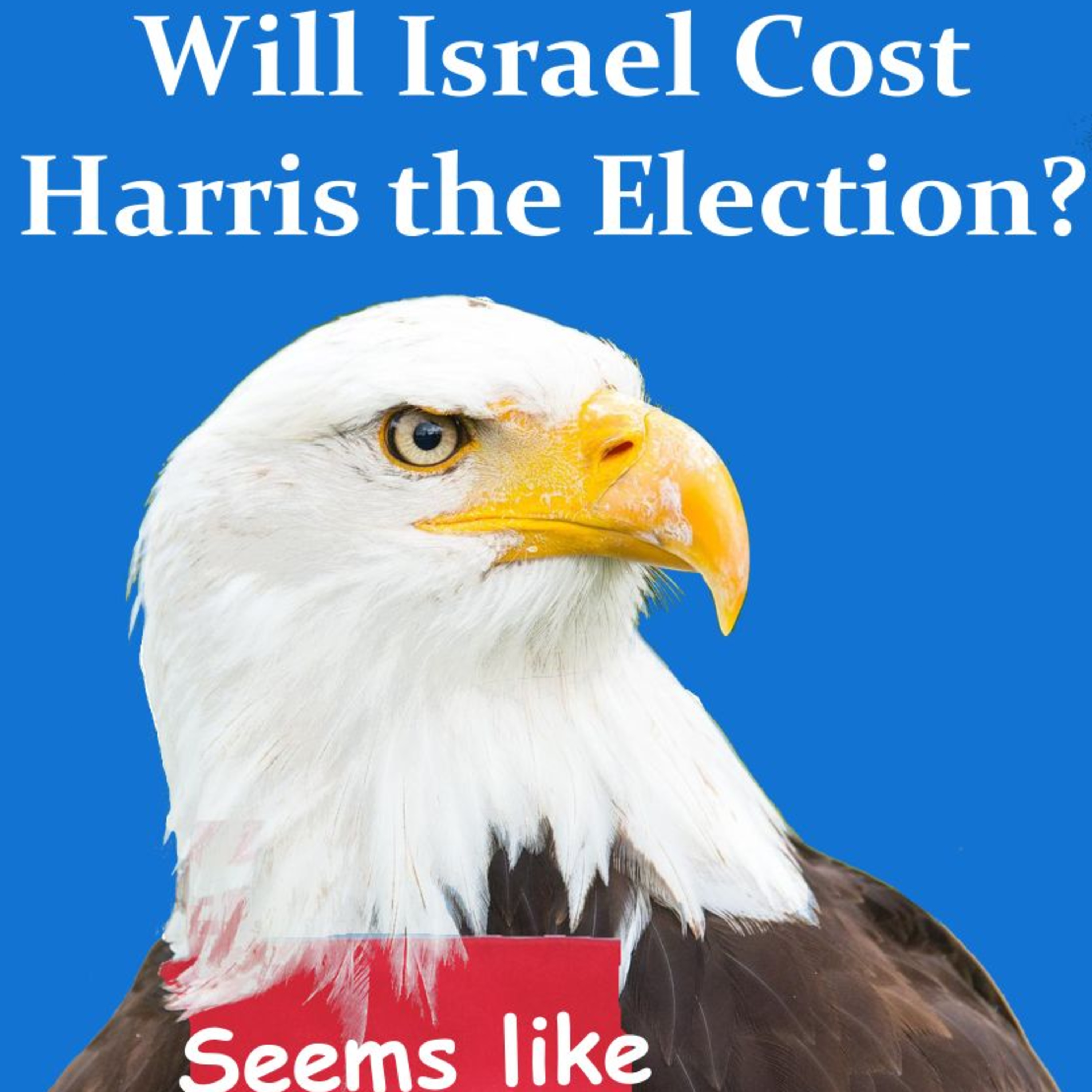 Will Israel Cost Harris the Election? episode artwork