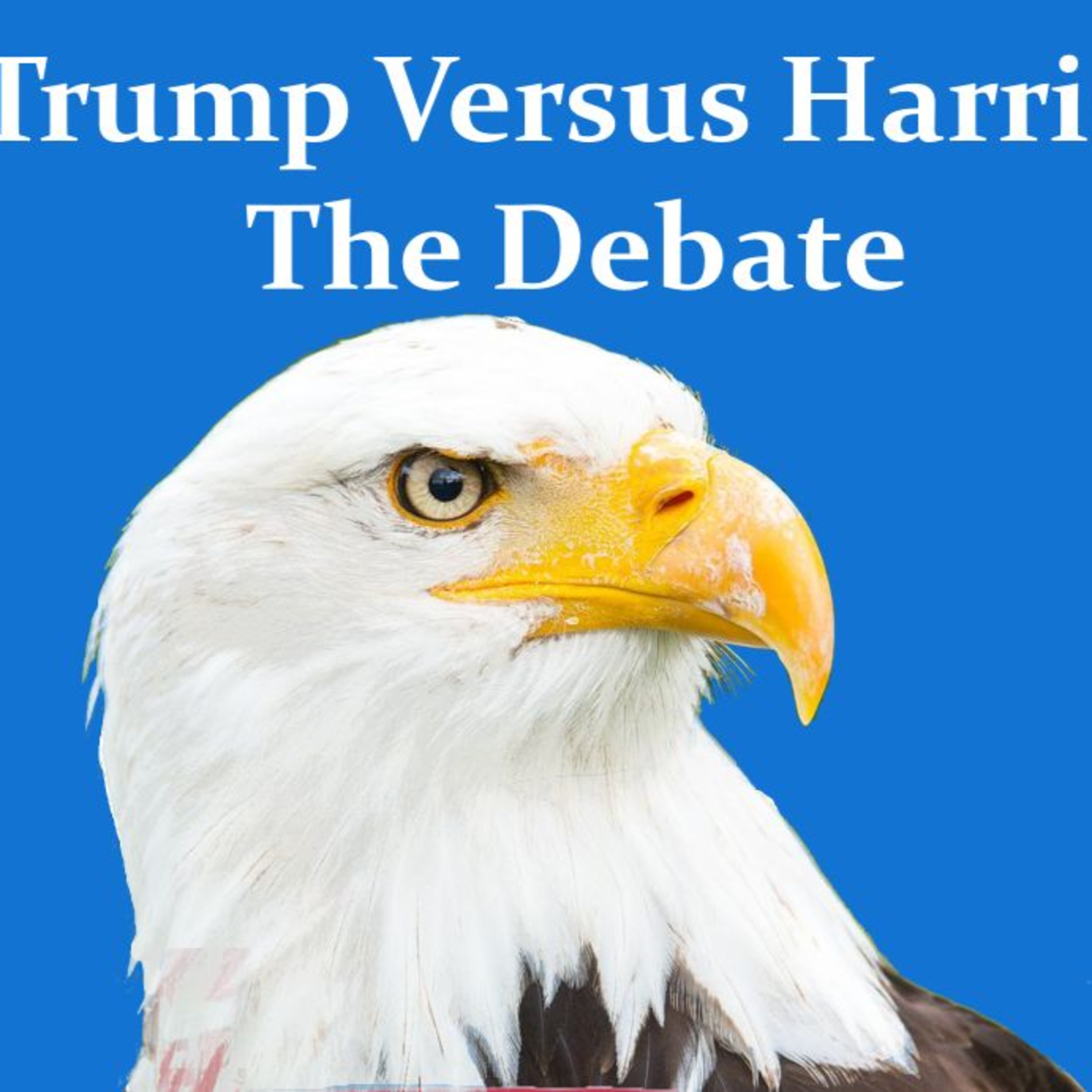  Trump Versus Harris: The Long Awaited Debate Will the Fur Fly? episode artwork