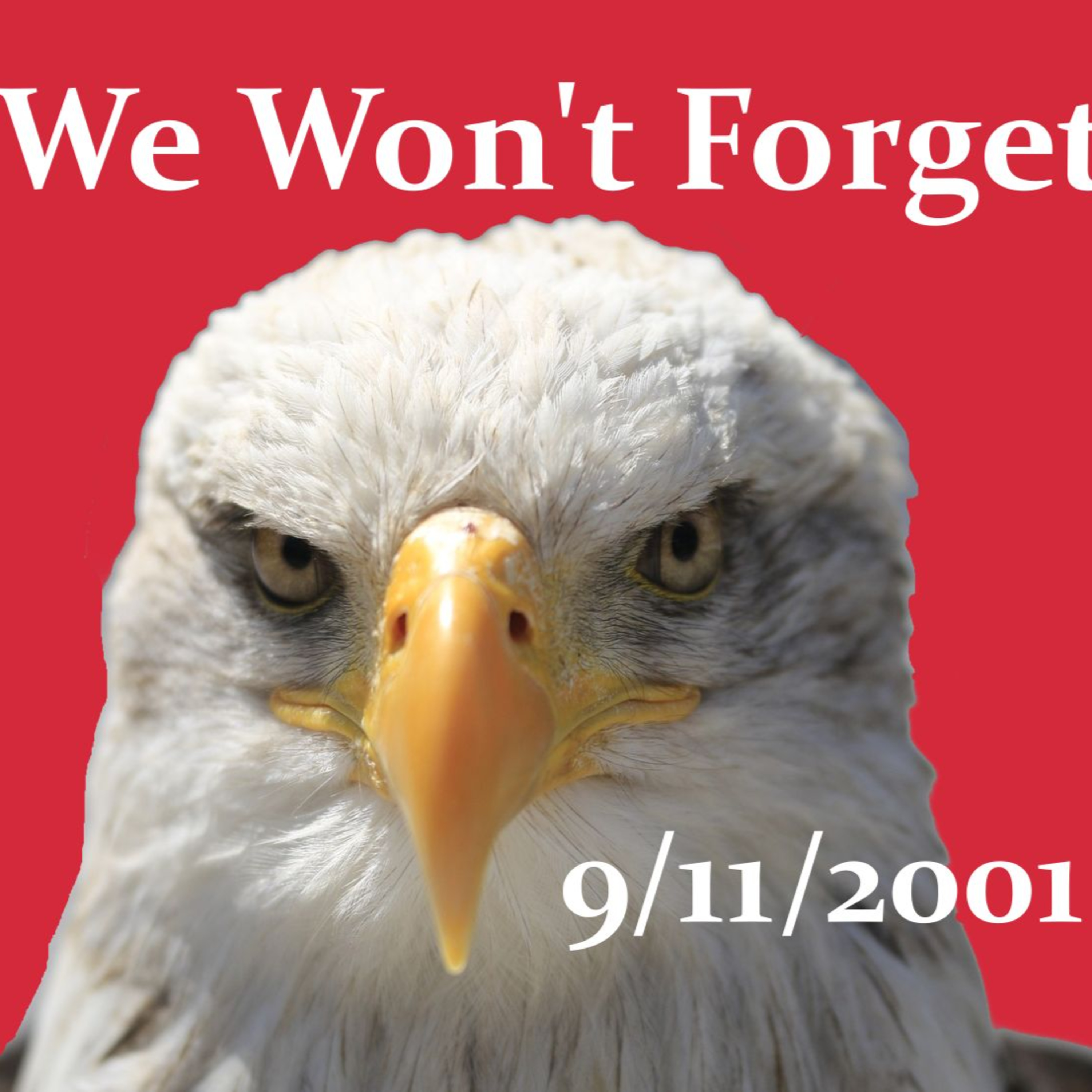 We Won't Forget 9/11/2001 episode artwork
