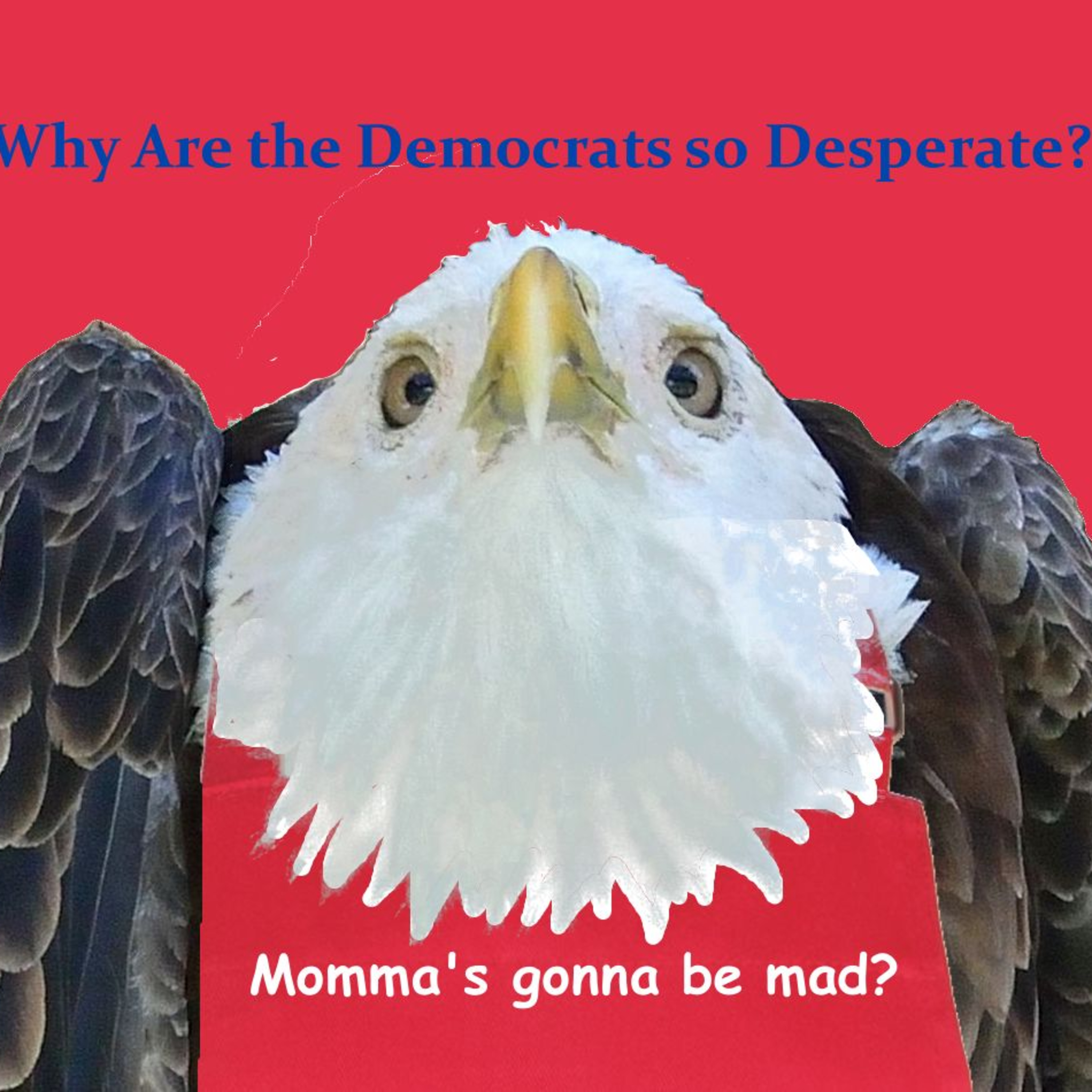 Why Are the Democrats so Desperate? episode artwork