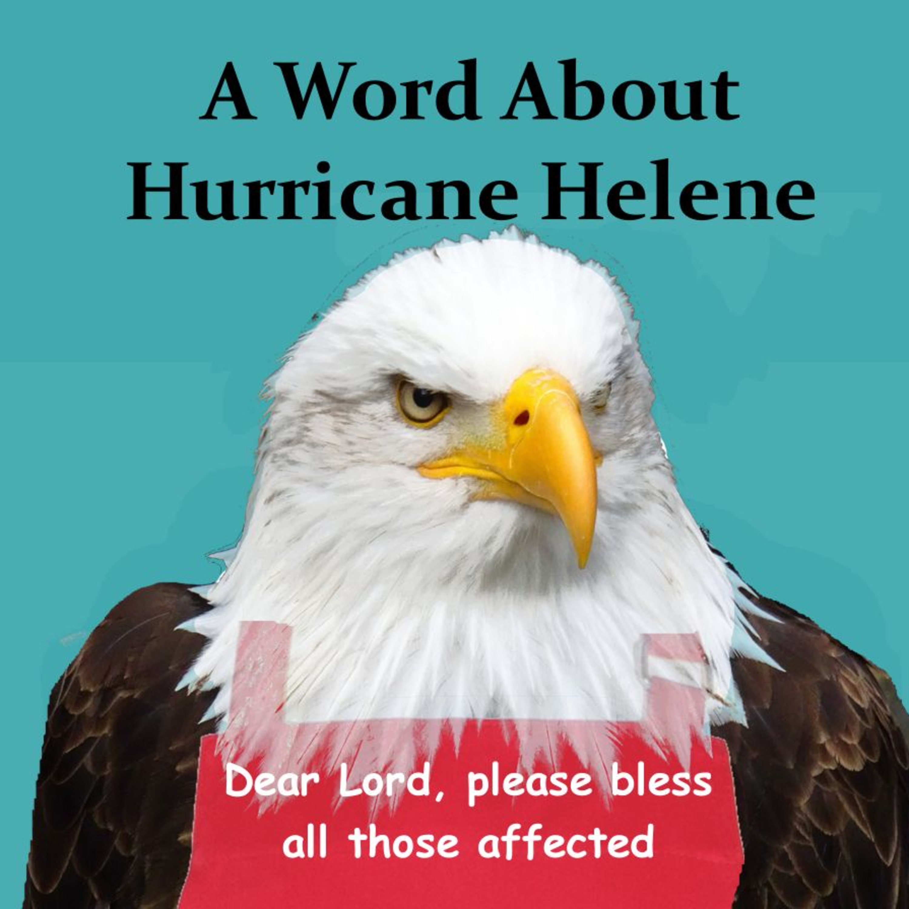 A Word About Hurricane Helene episode artwork