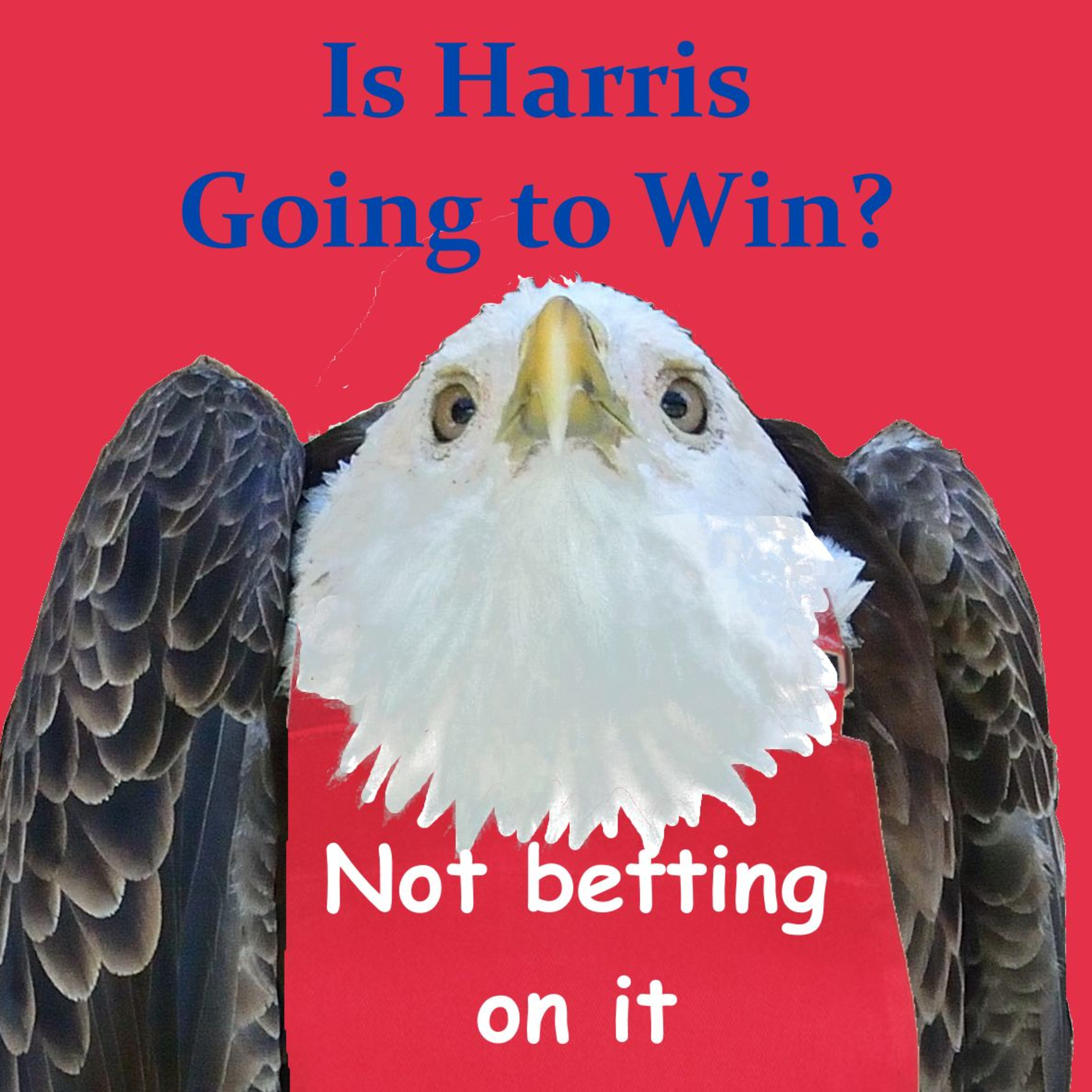 Is Harris Going to Win? episode artwork