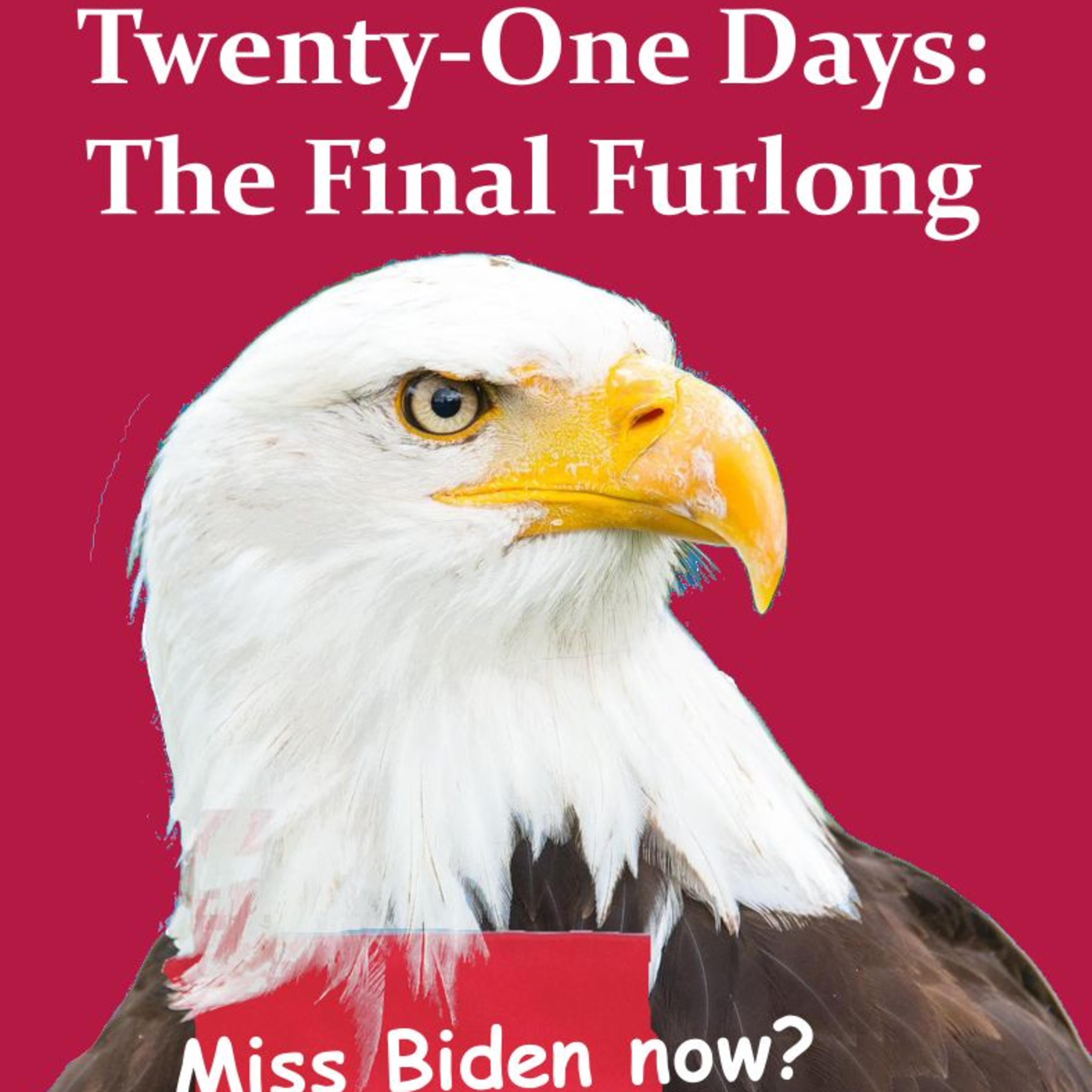 Twenty-One Days: The Final Furlong episode artwork
