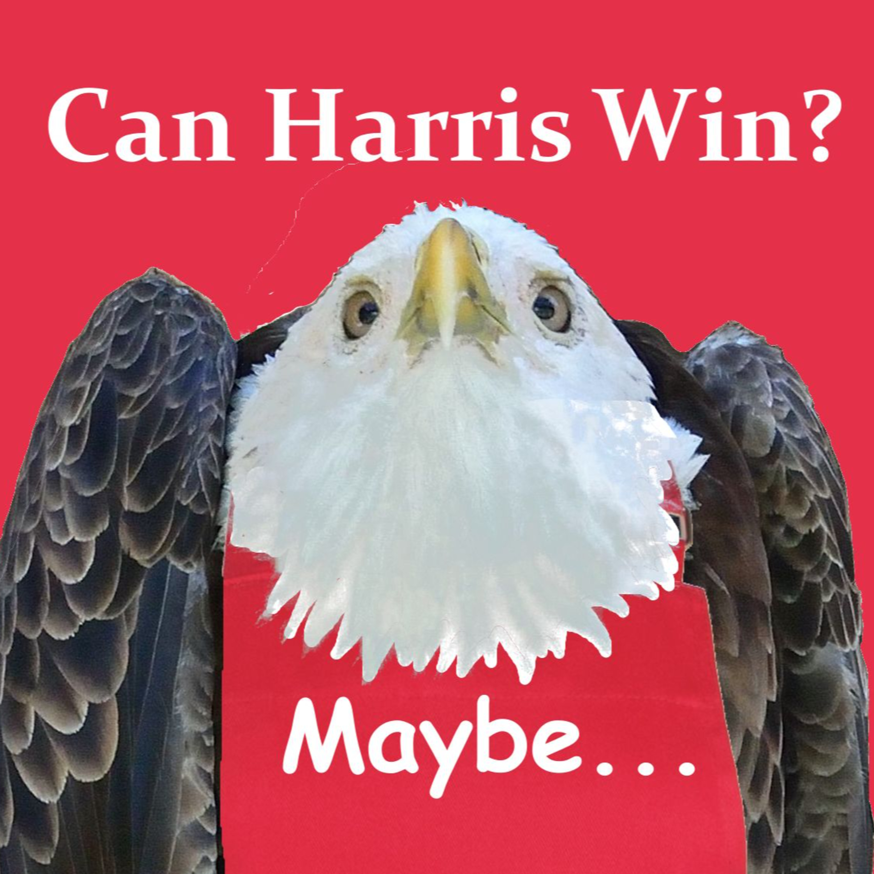 Can Harris Win? episode artwork