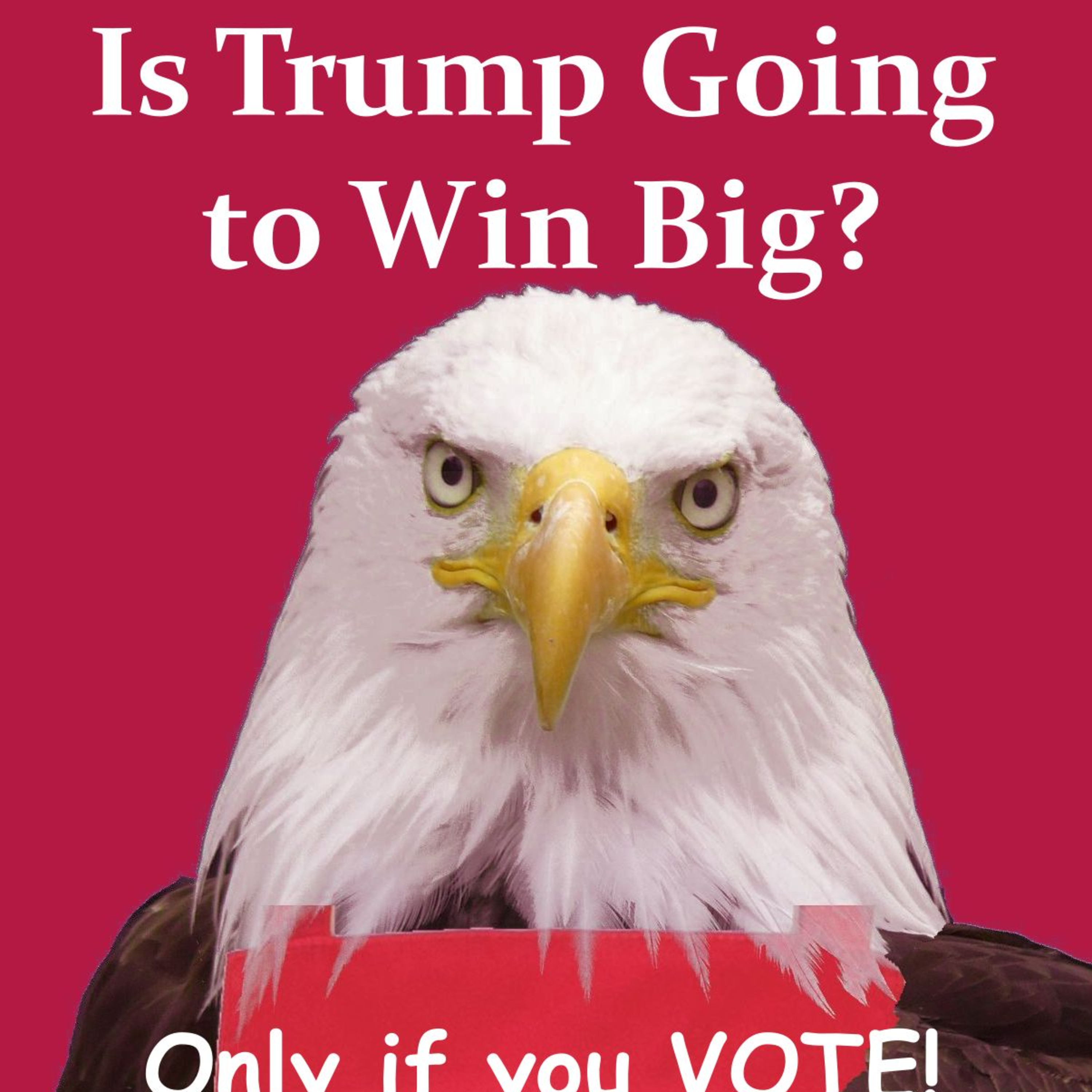Is Trump Going to Win Big? episode artwork