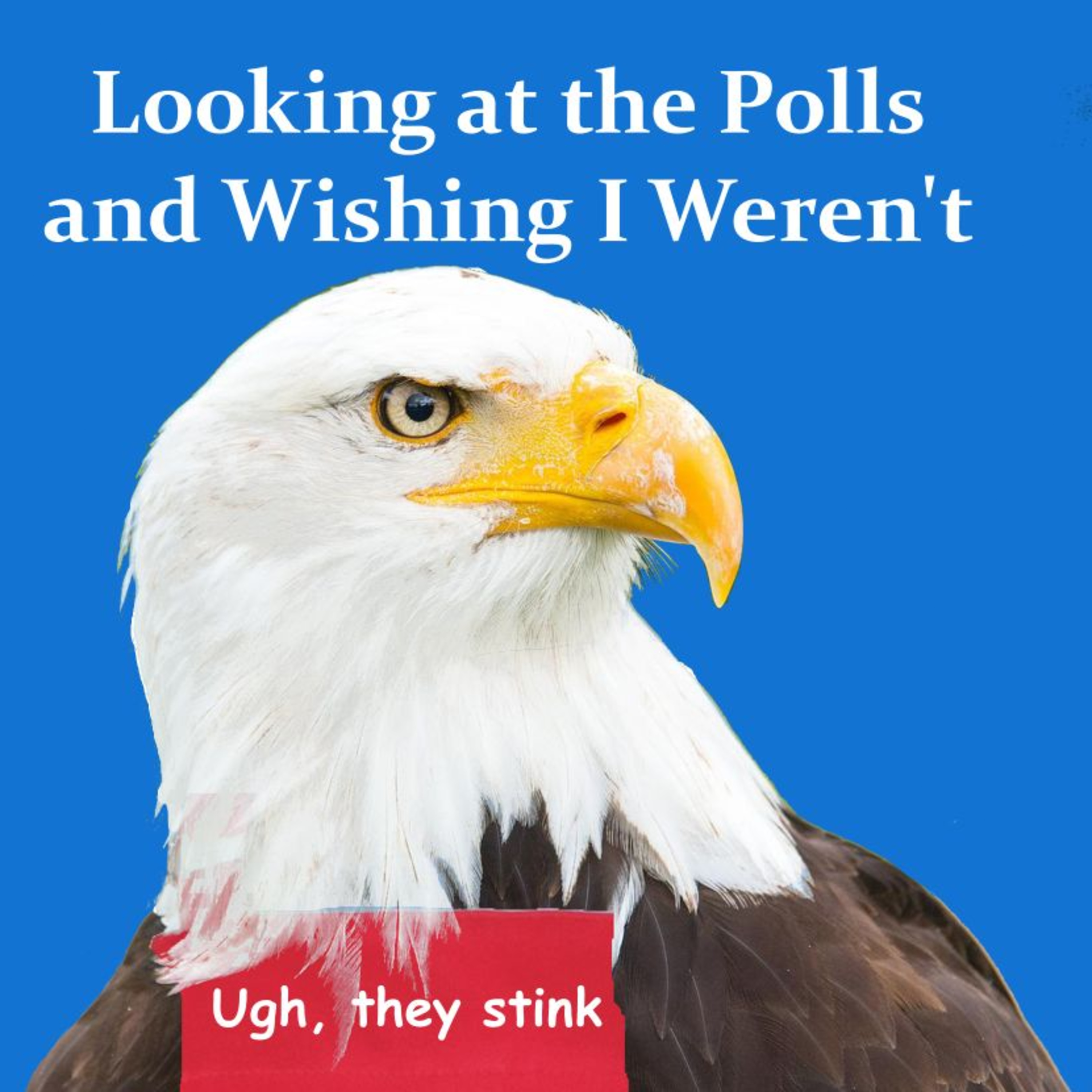 Looking at the Polls and Wishing I Weren't episode artwork