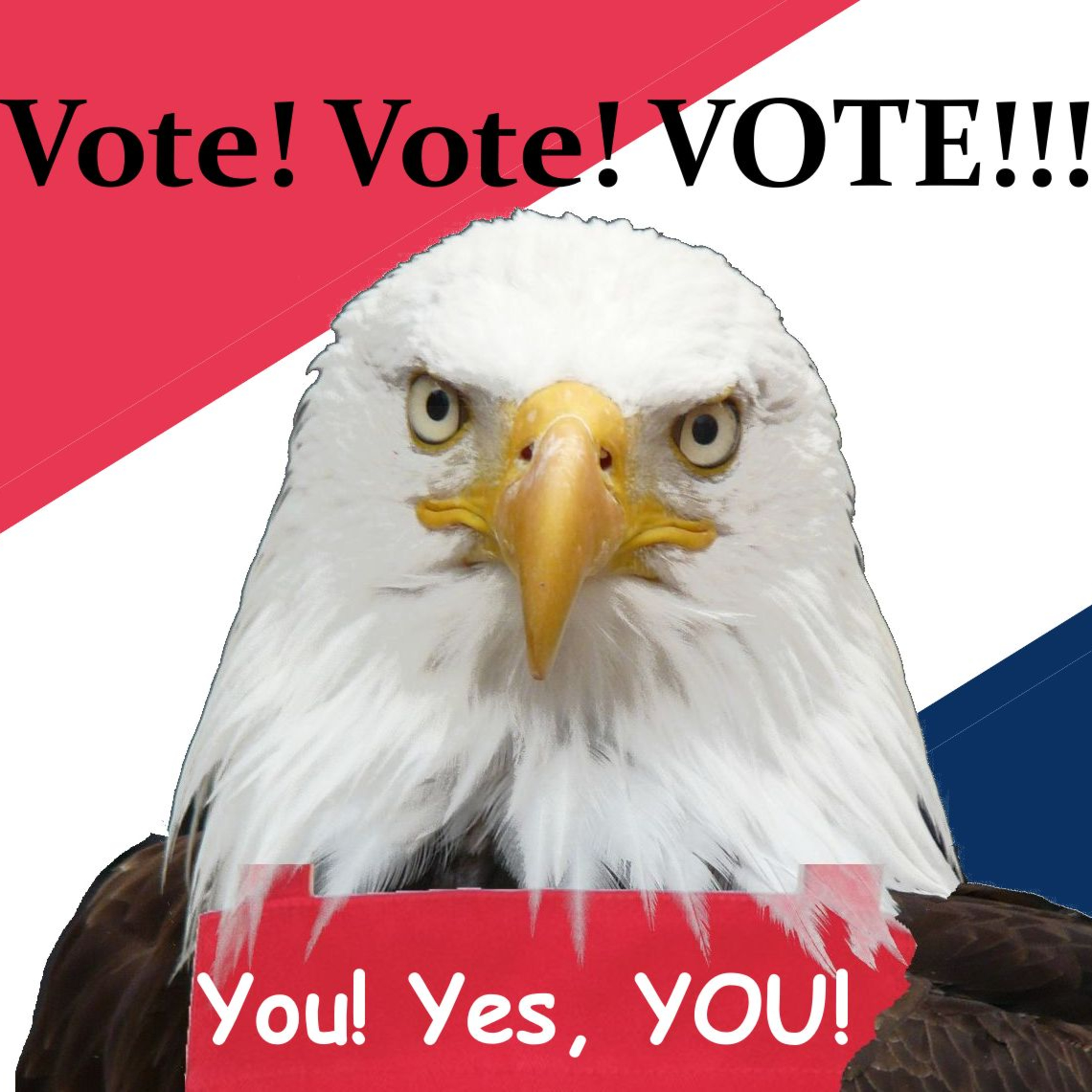 Vote! Vote! VOTE!!! - Audio Version episode artwork