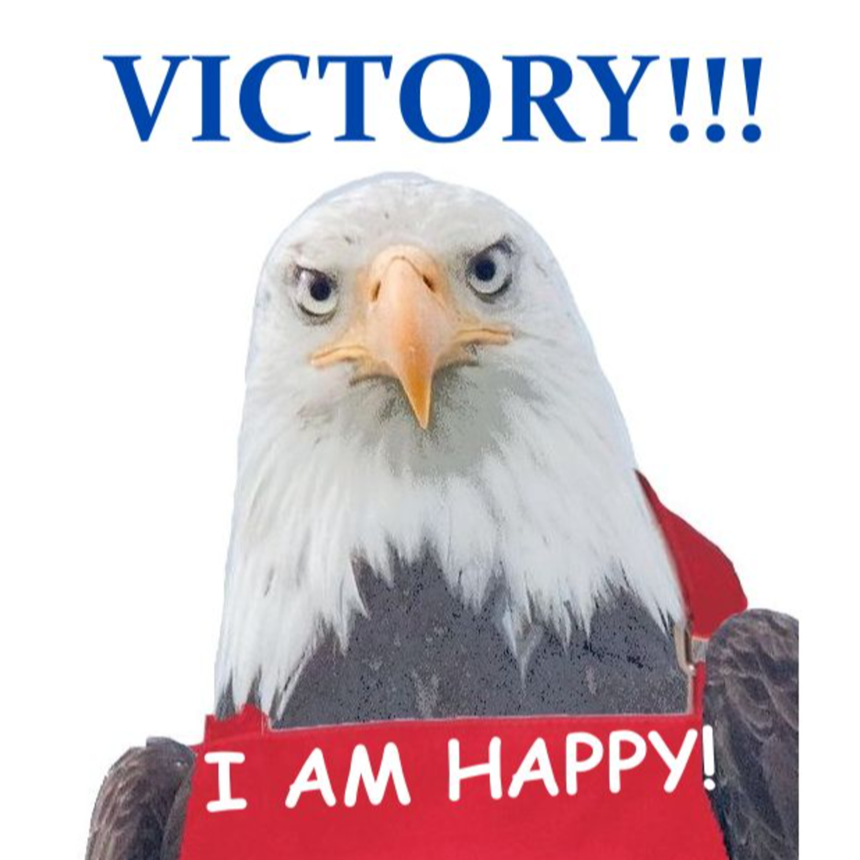 VICTORY! - Audio Version episode artwork