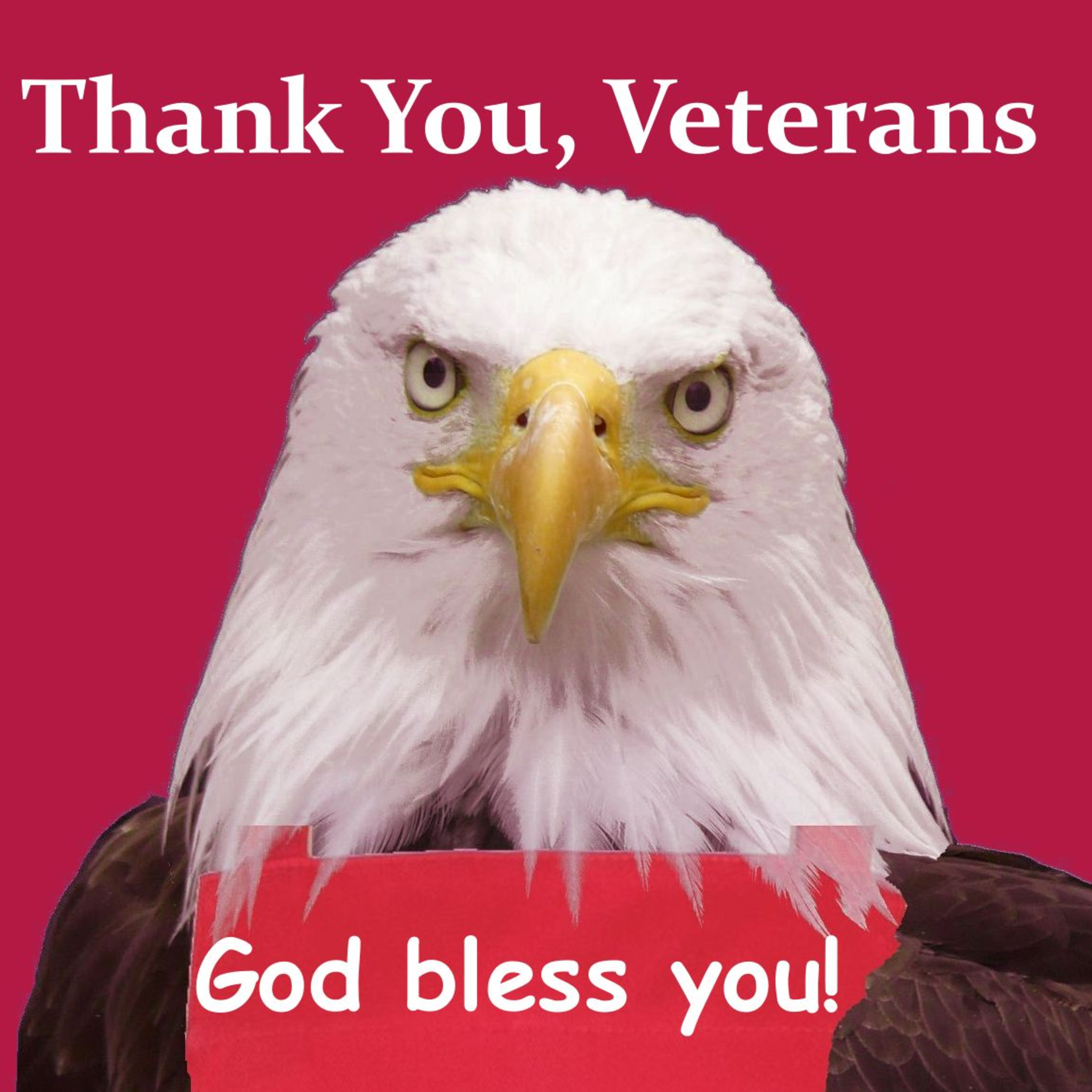 Thank You, Veterans - Audio Version episode artwork