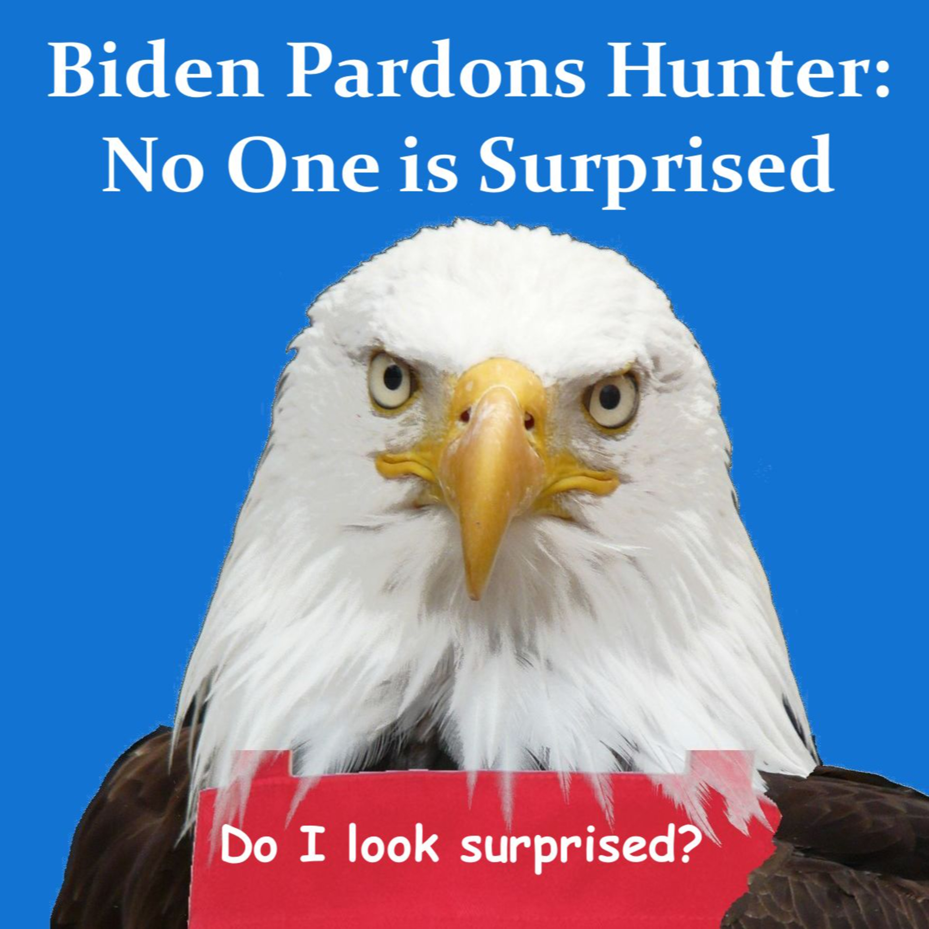 Biden Pardons Hunter: No One is Surprised - Video Version episode artwork