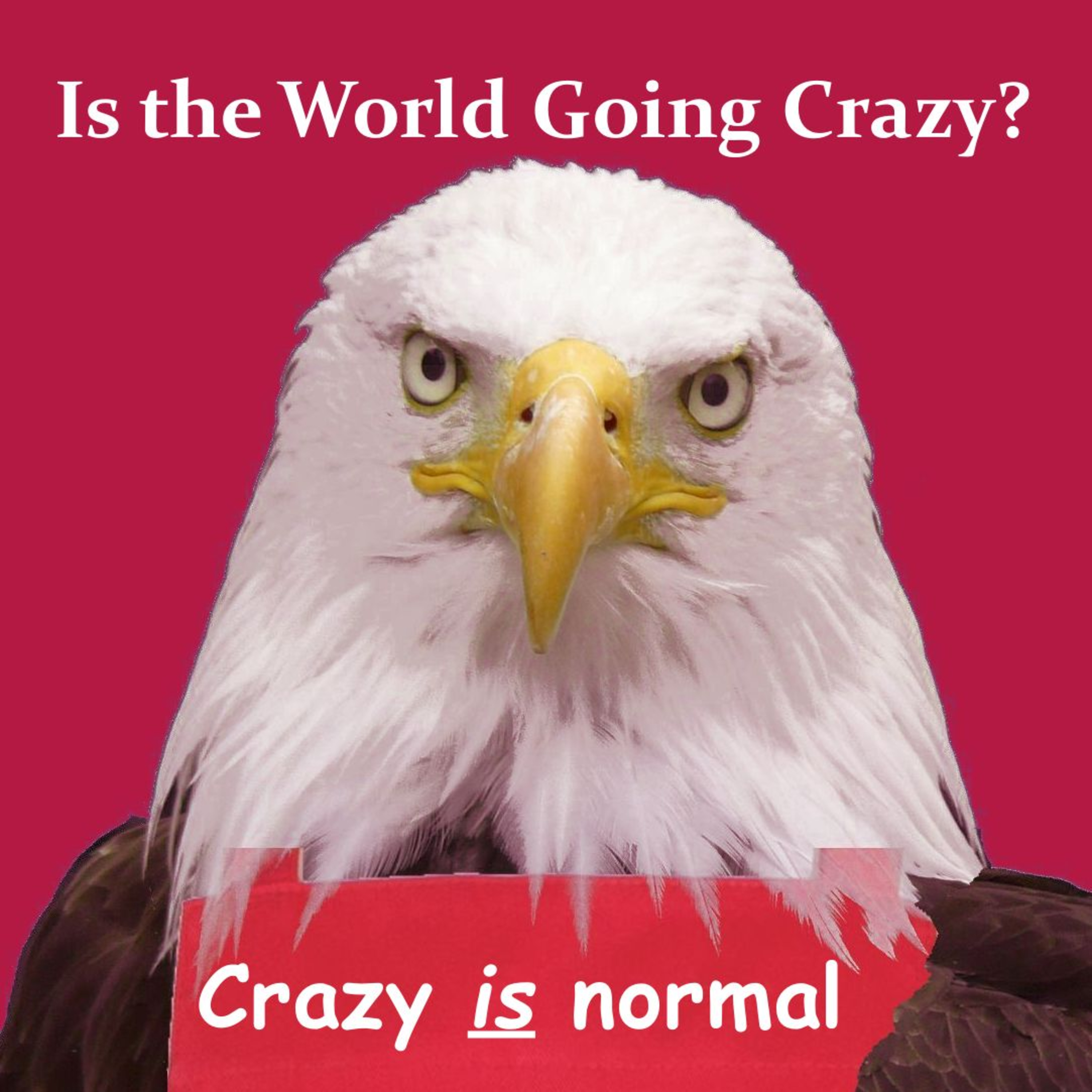 Is the World Going Crazy? - Video Version episode artwork