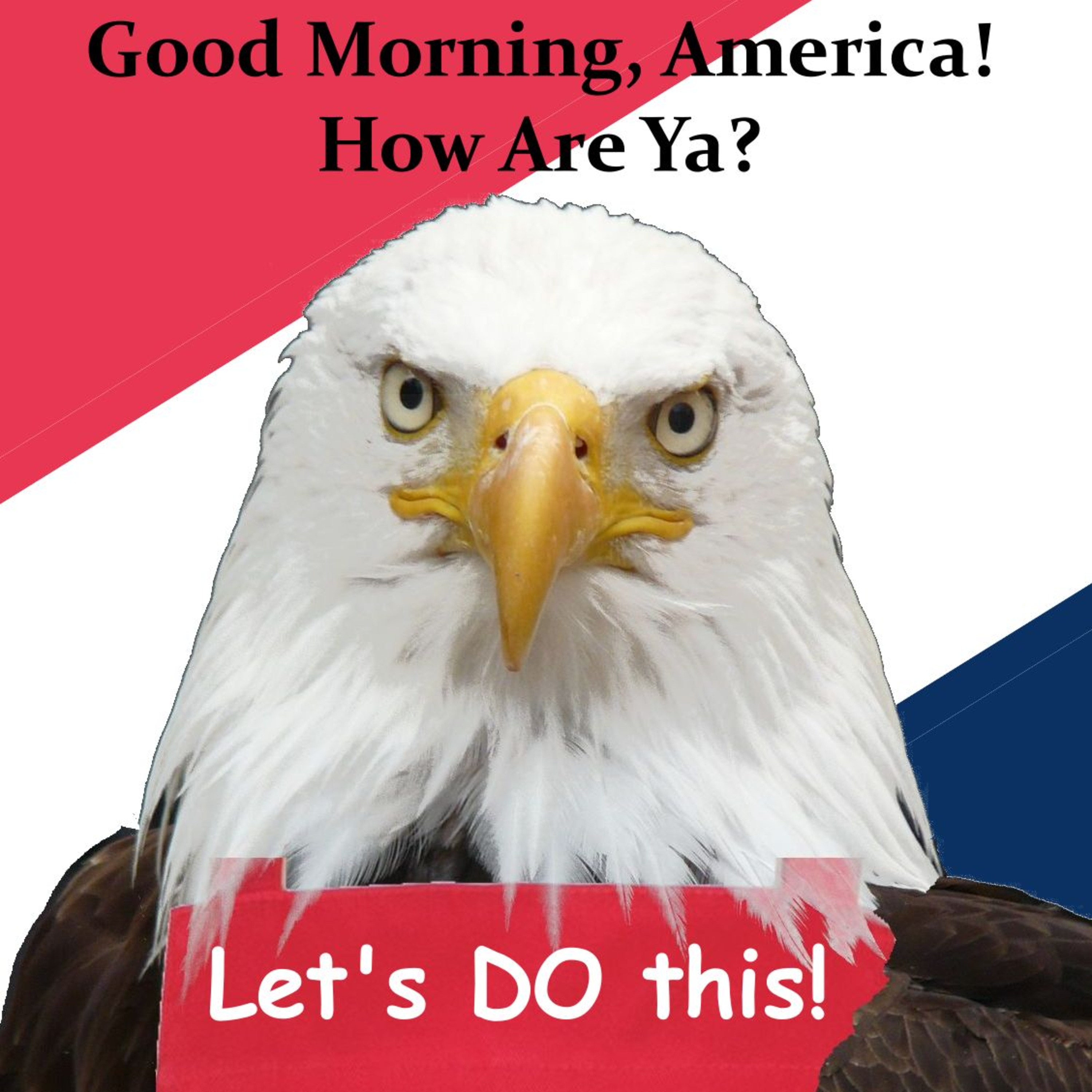 Good Morning, America! How Are Ya? - Audio Version episode artwork