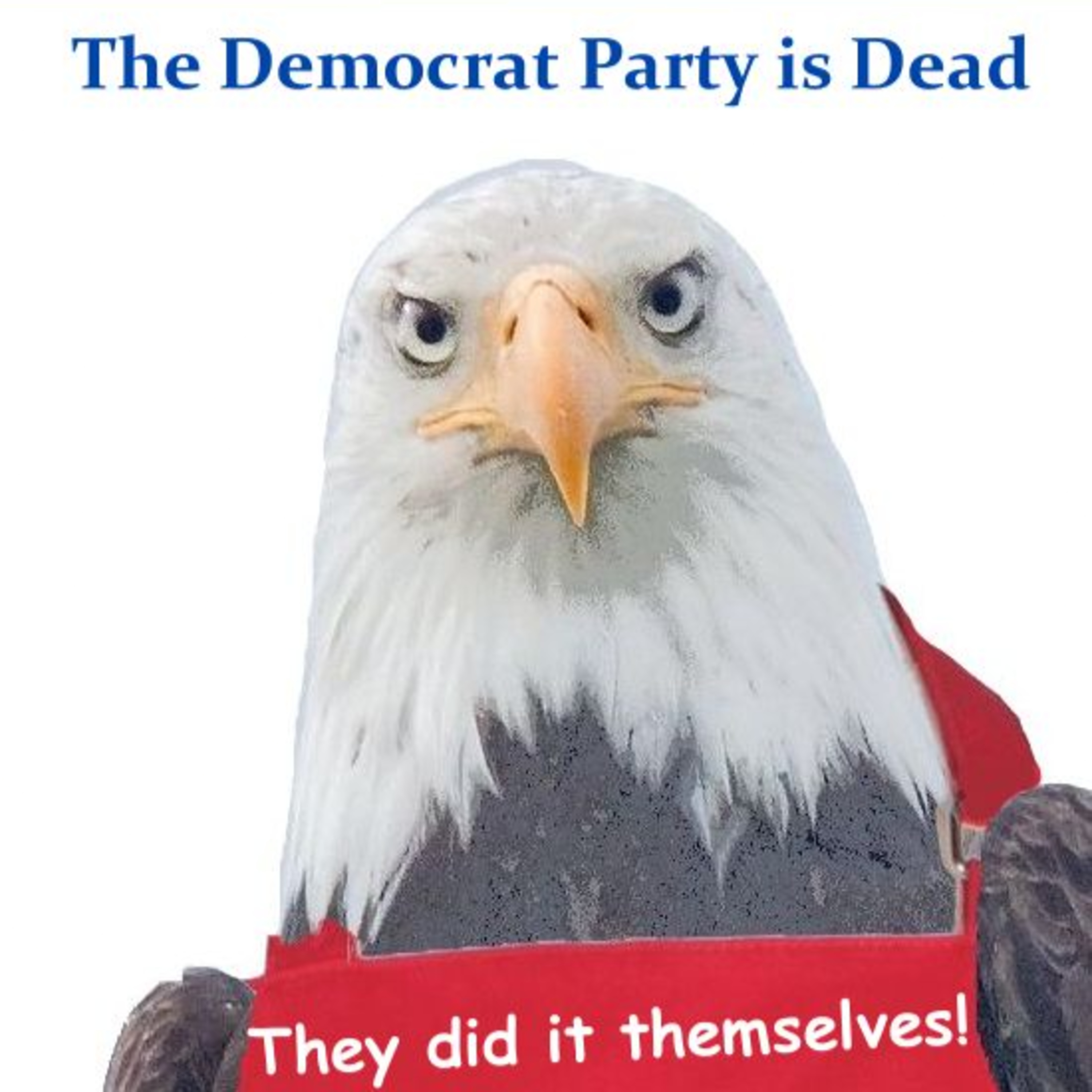 The Democrat Party Is Dead - Video Version episode artwork
