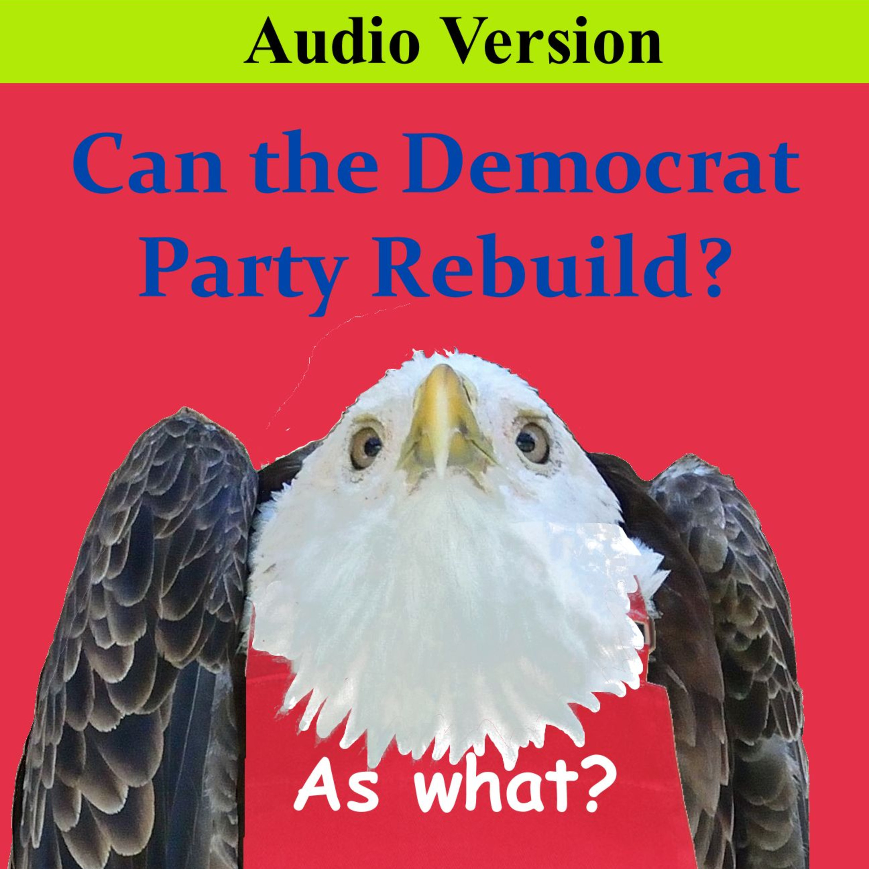 Can the Democrat Party Rebuild? episode artwork
