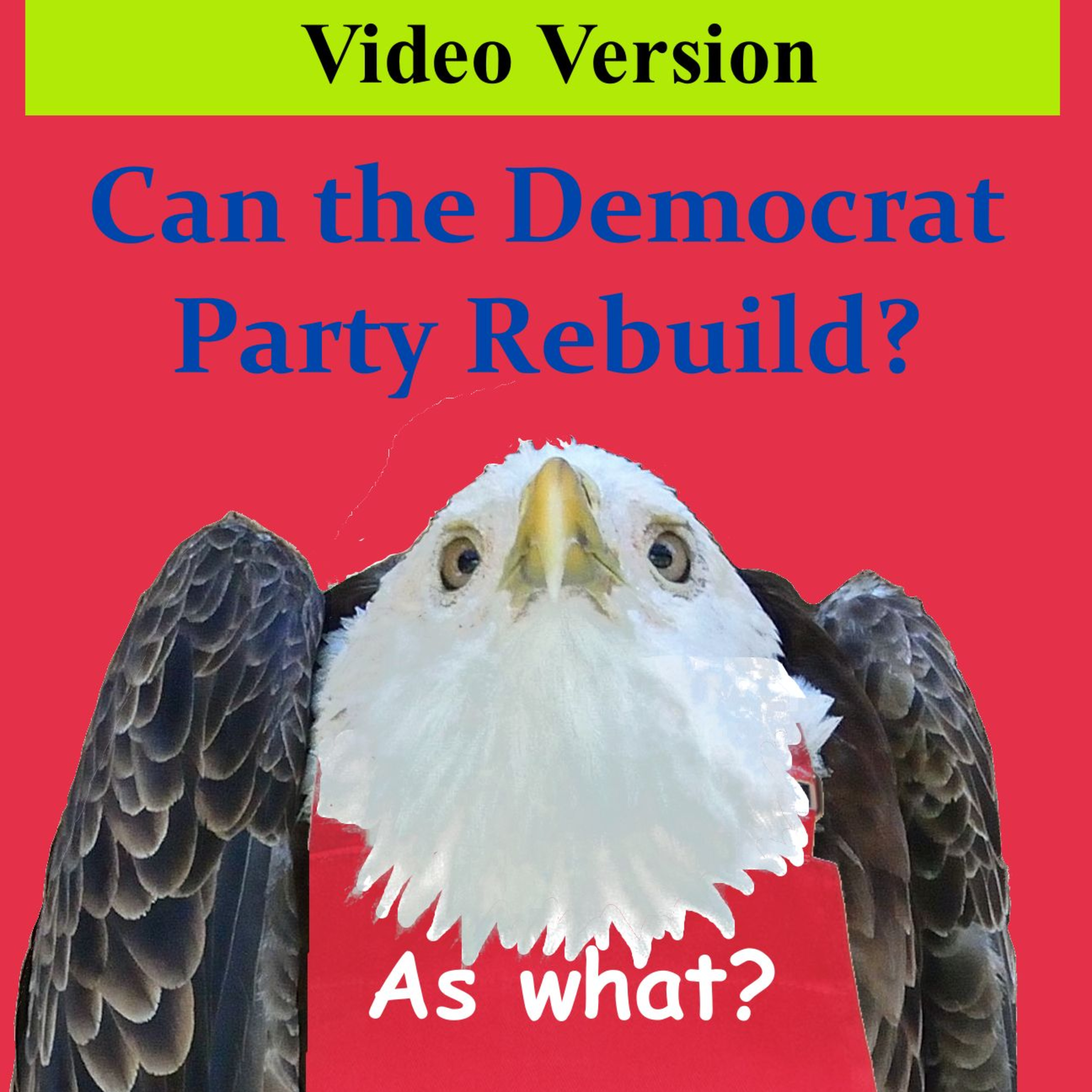 Can the Democrat Party Rebuild? episode artwork