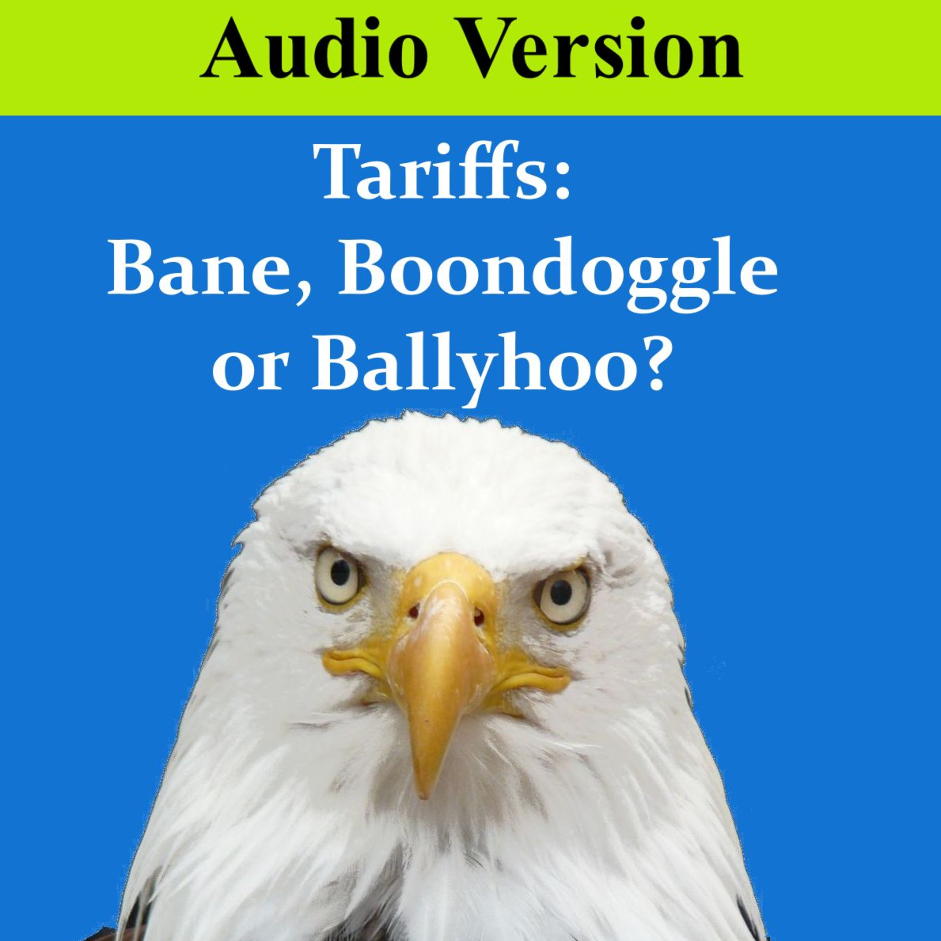 Tariffs: Bane, Boondoggle or Ballyhoo? - Audio Version episode artwork