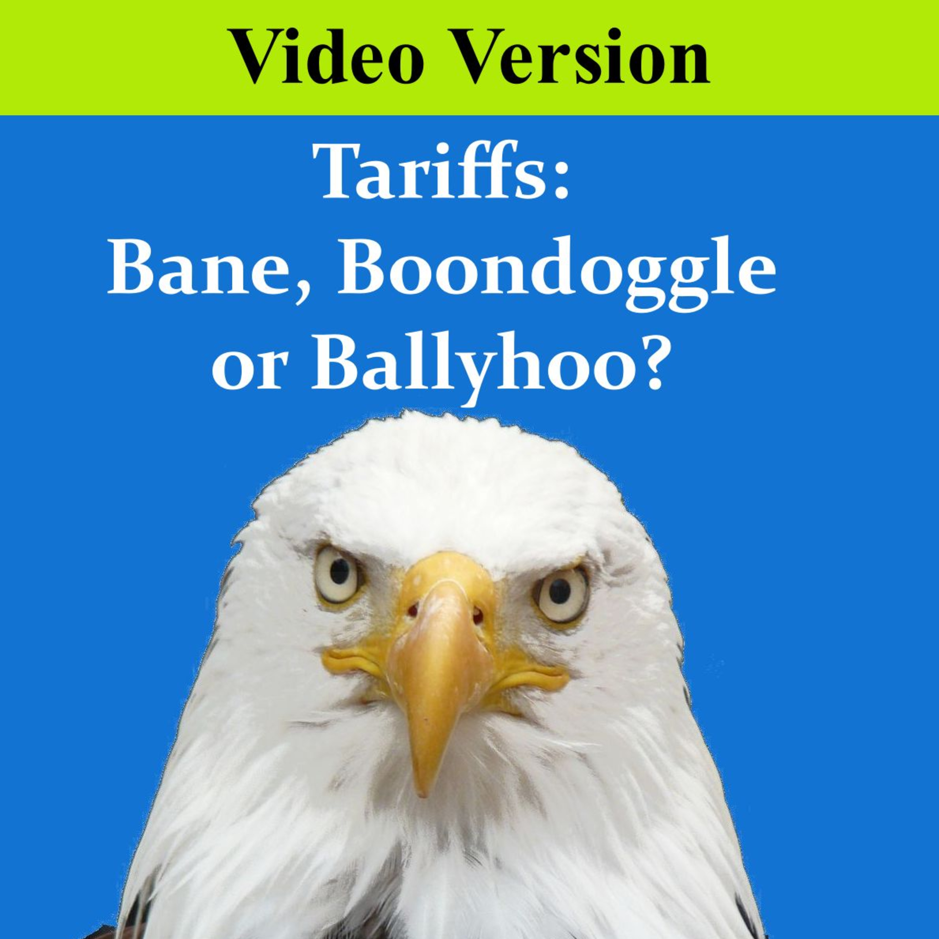 Tariffs: Bane, Boondoggle or Ballyhoo? - Video Version episode artwork