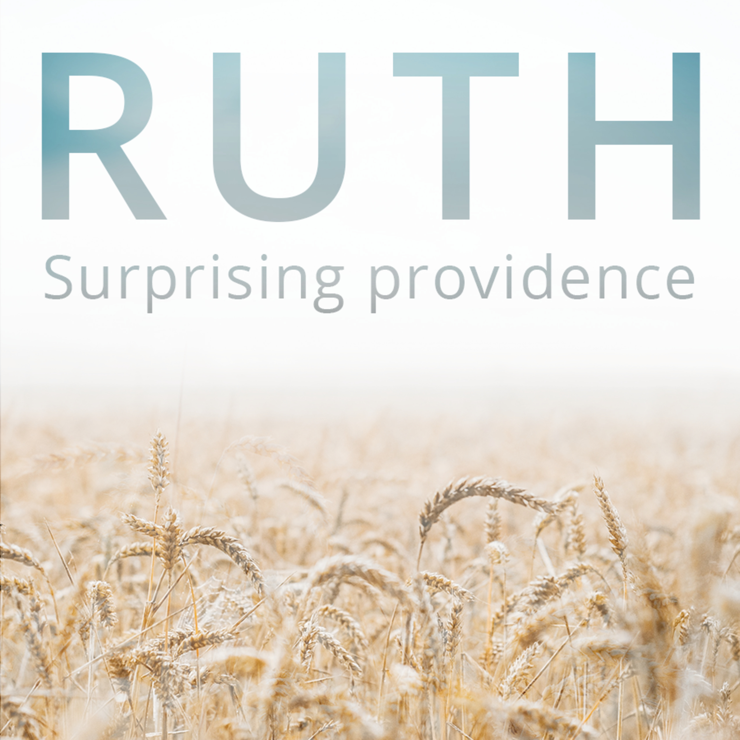 12.04 Ruth | Surprising Providence | Ruth 4 episode artwork