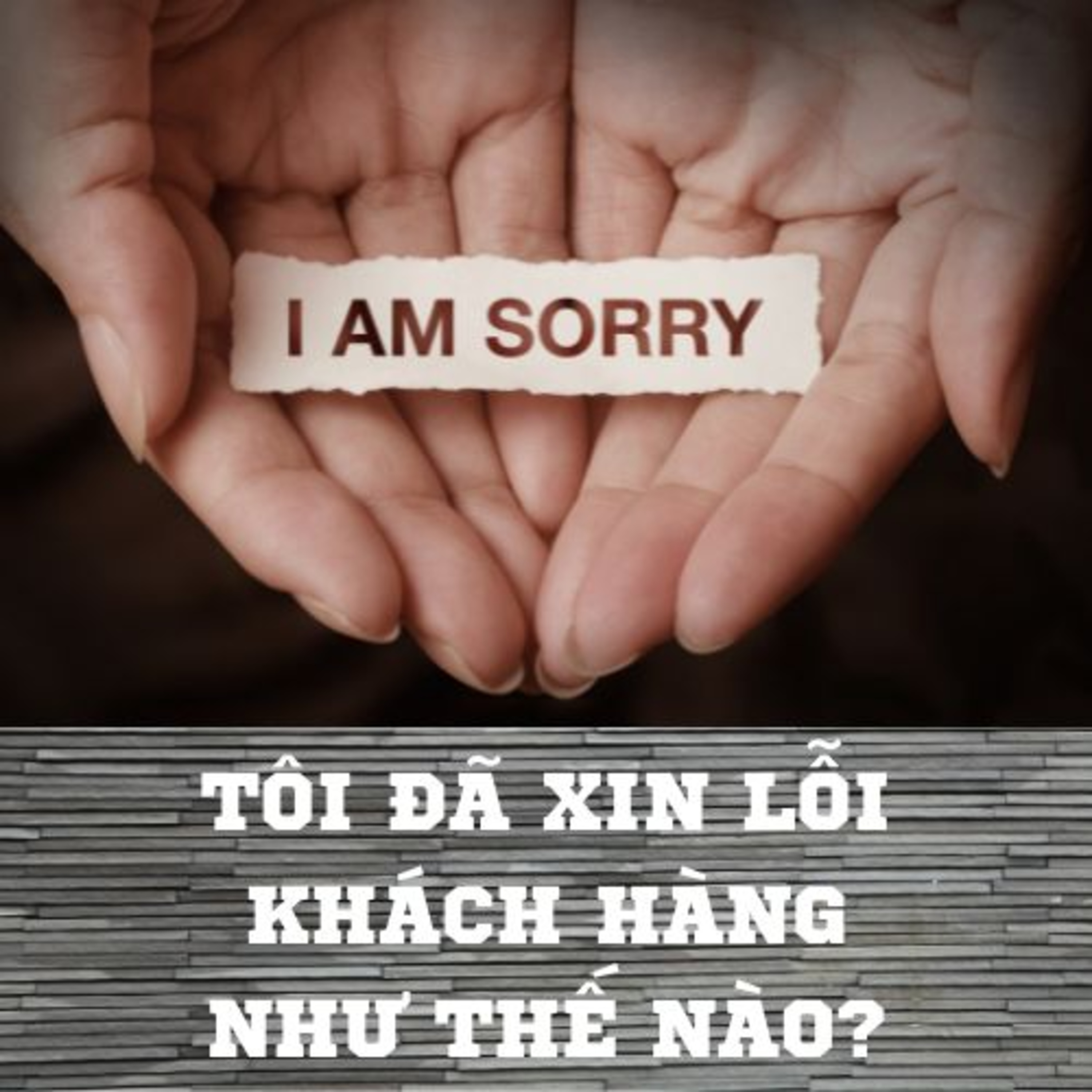 #101. Tôi đã xin lỗi khách hàng như thế nào?