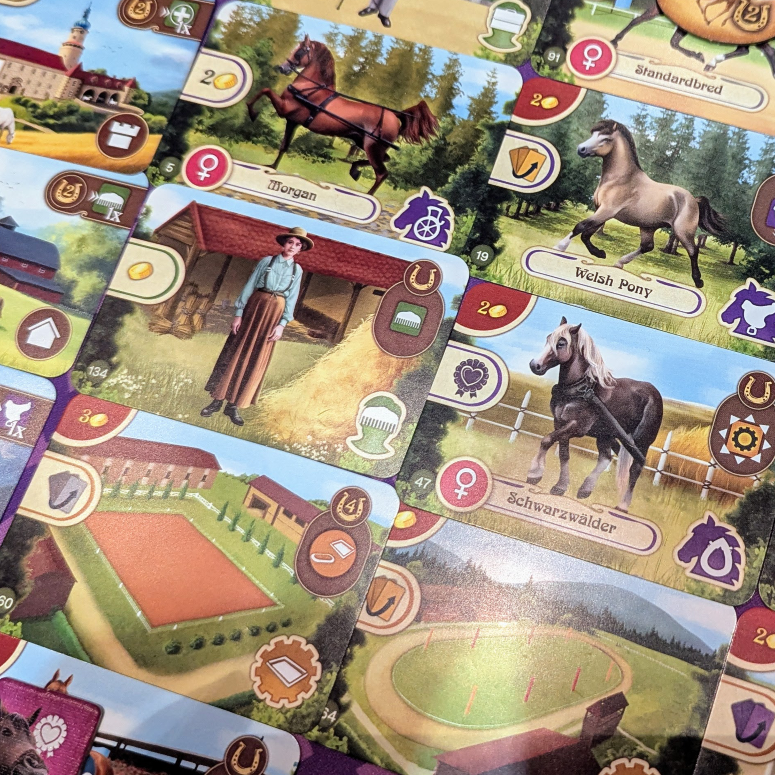 #288 - The Memory Tub