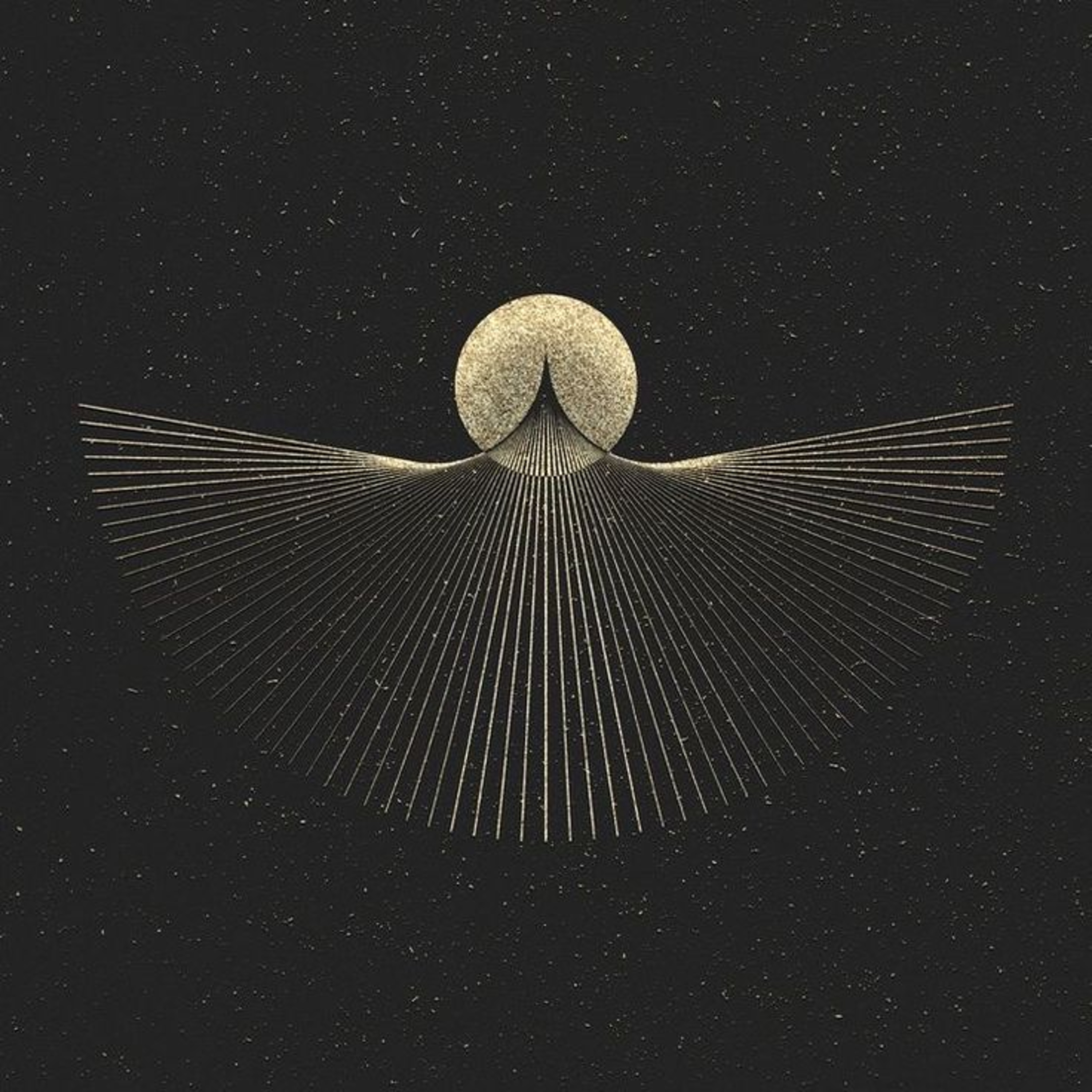 The Yoga Nidra Project