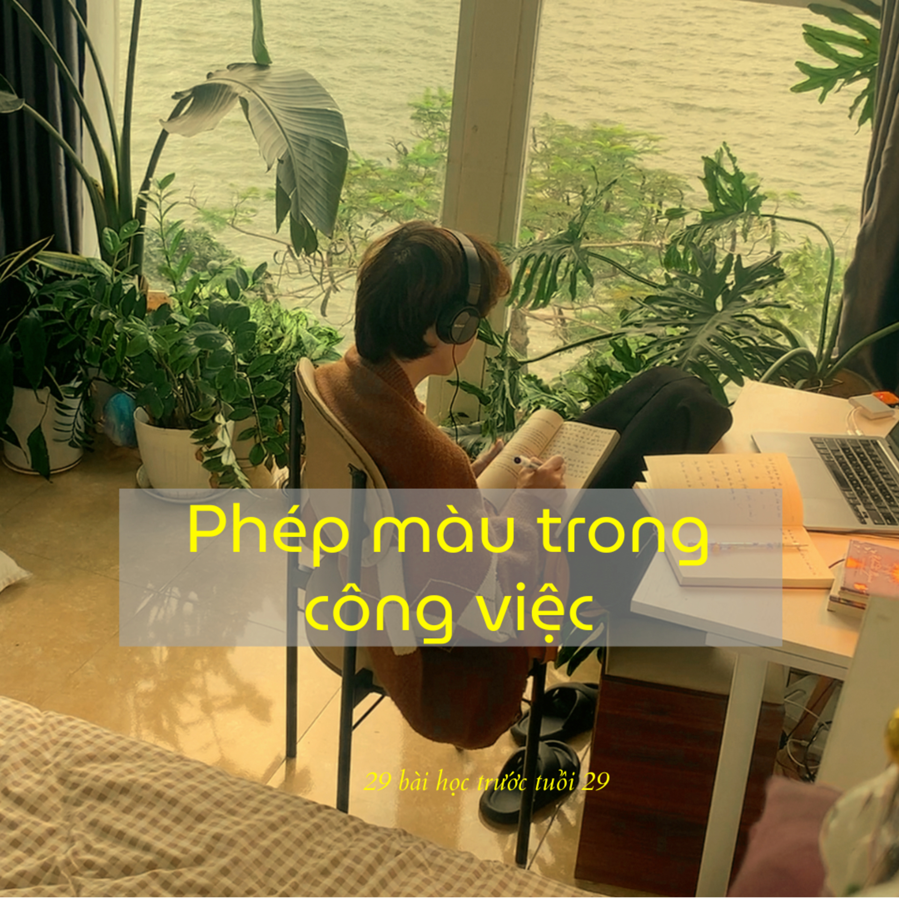 Đông Đông Đây