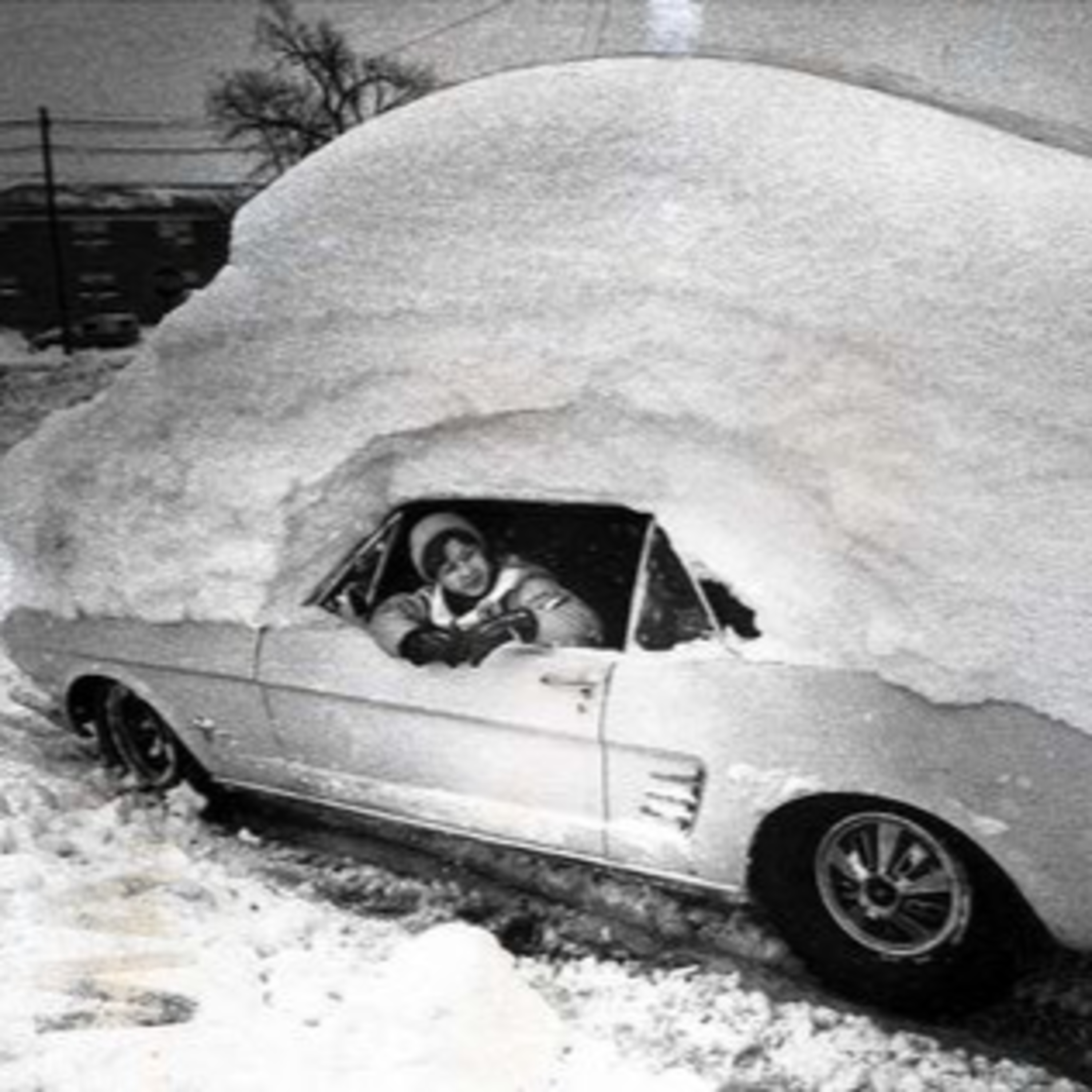 Mustang Owner\'s Podcast