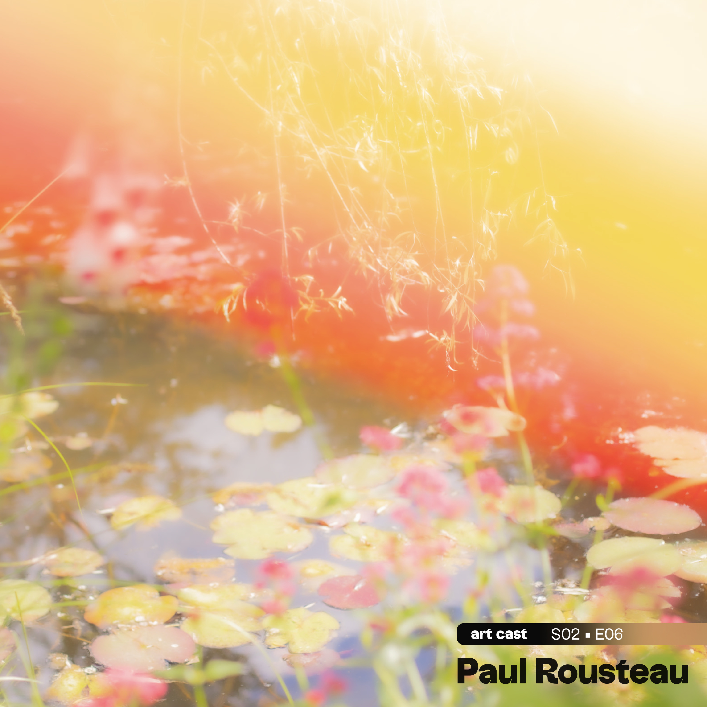 S02 • E06 • Paul Rousteau • Photographe episode artwork