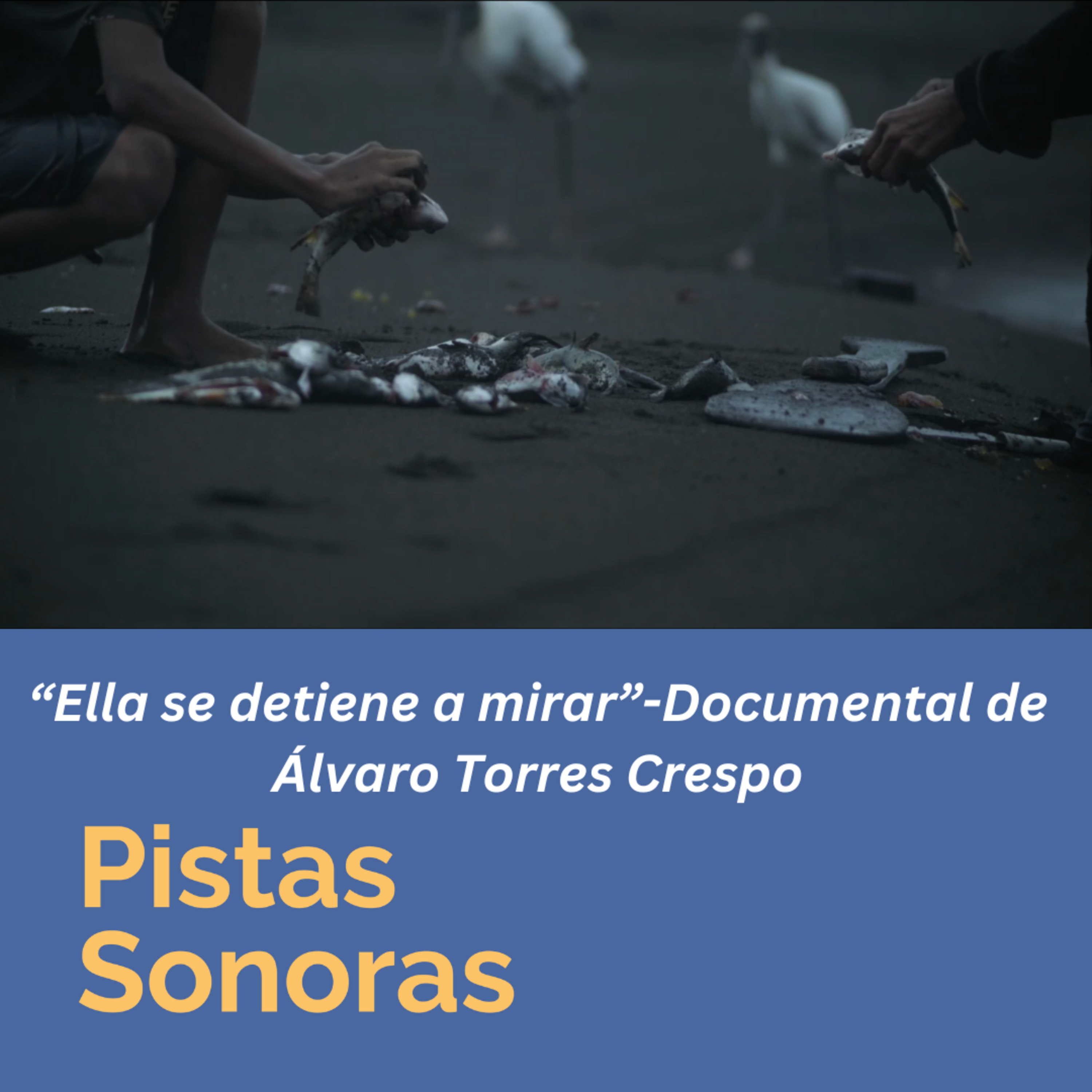 Pistas Sonoras
