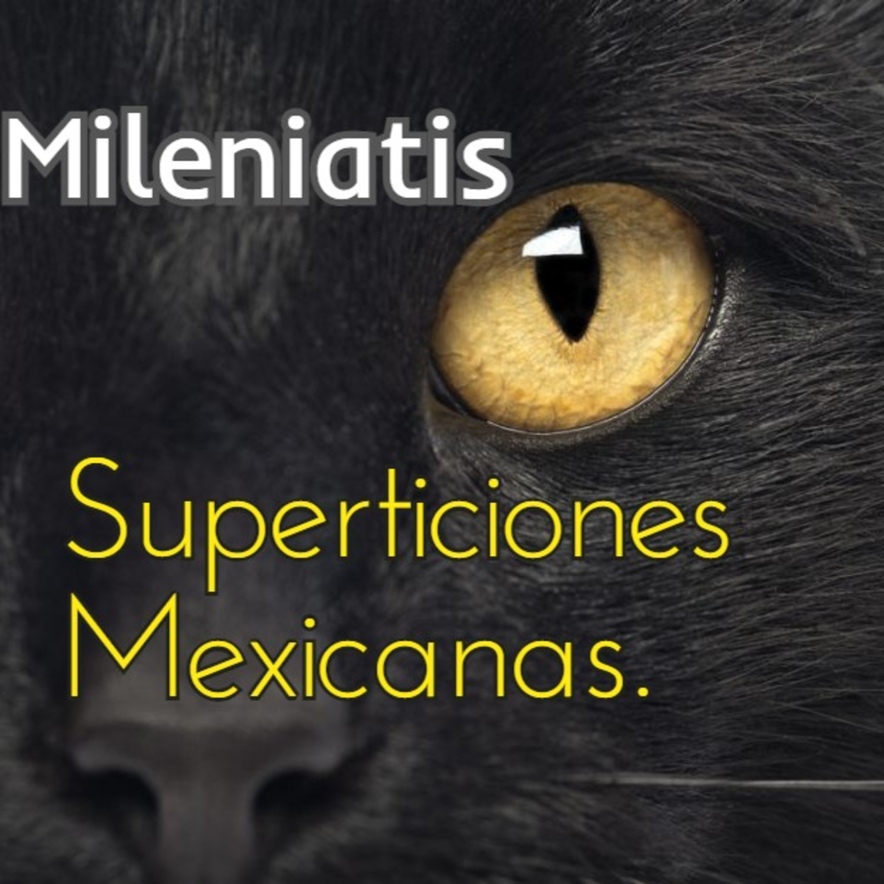 Milenials Trabajando