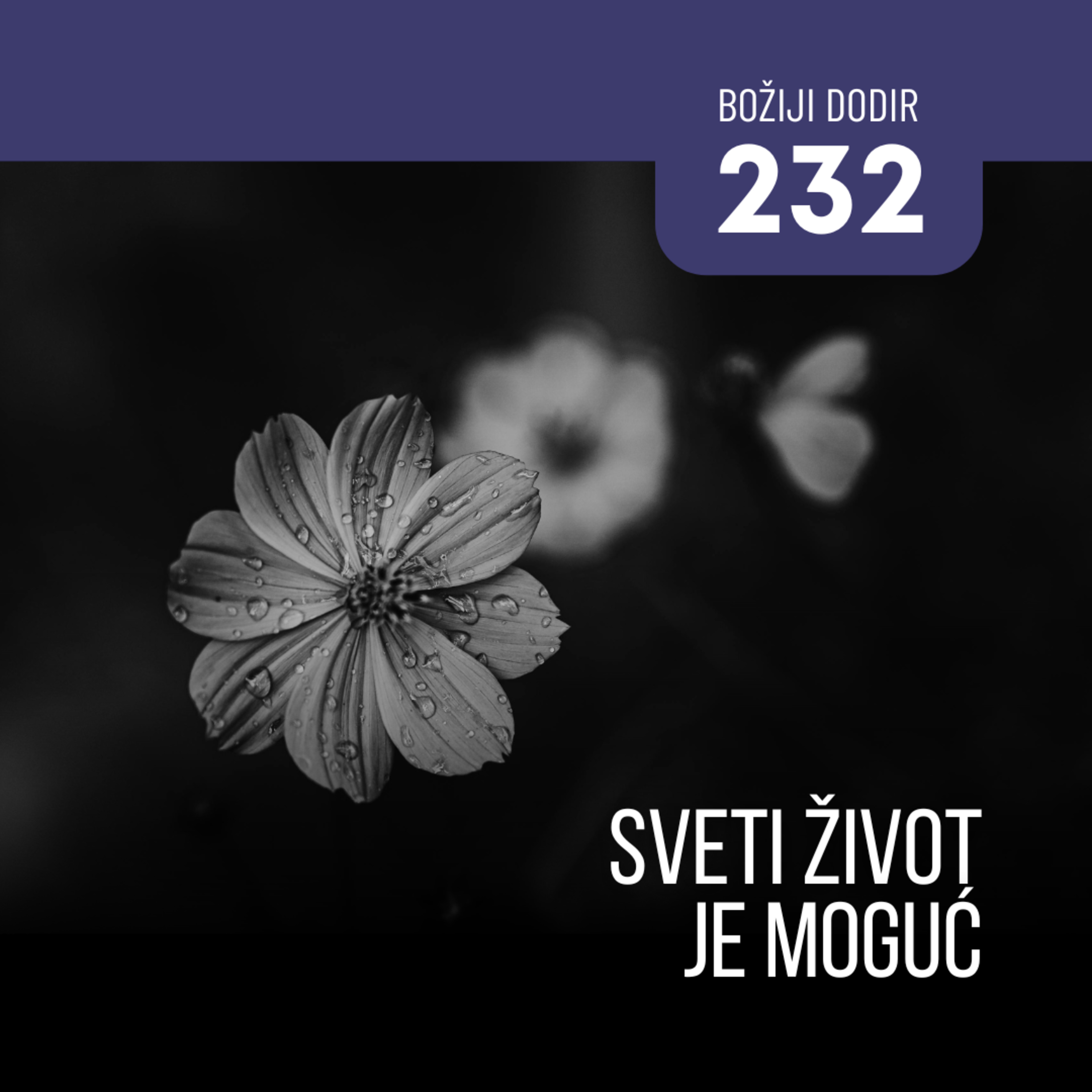 232 BD - Sveti život je moguć episode artwork