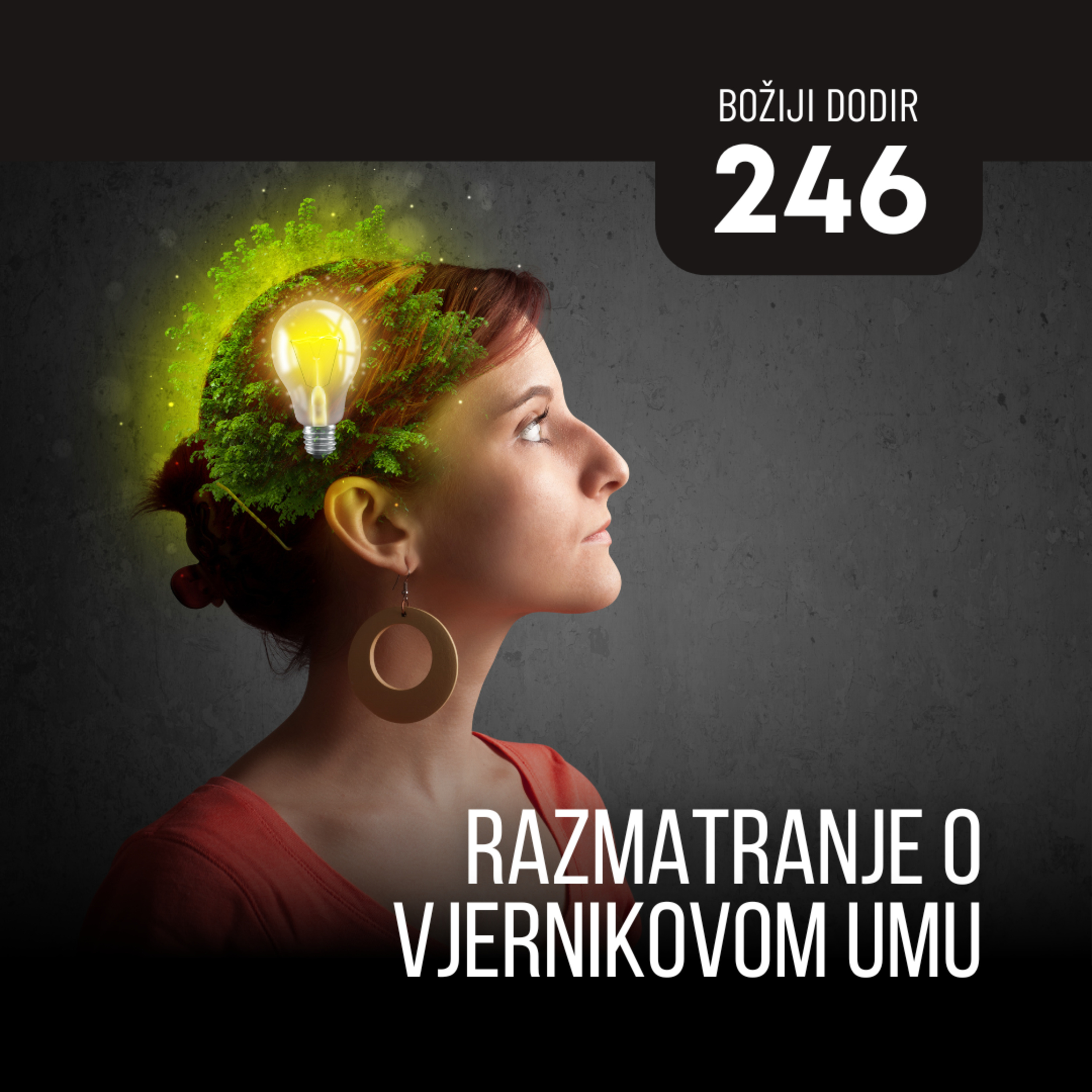 246 BD - Razmatranje o vjernikovom umu