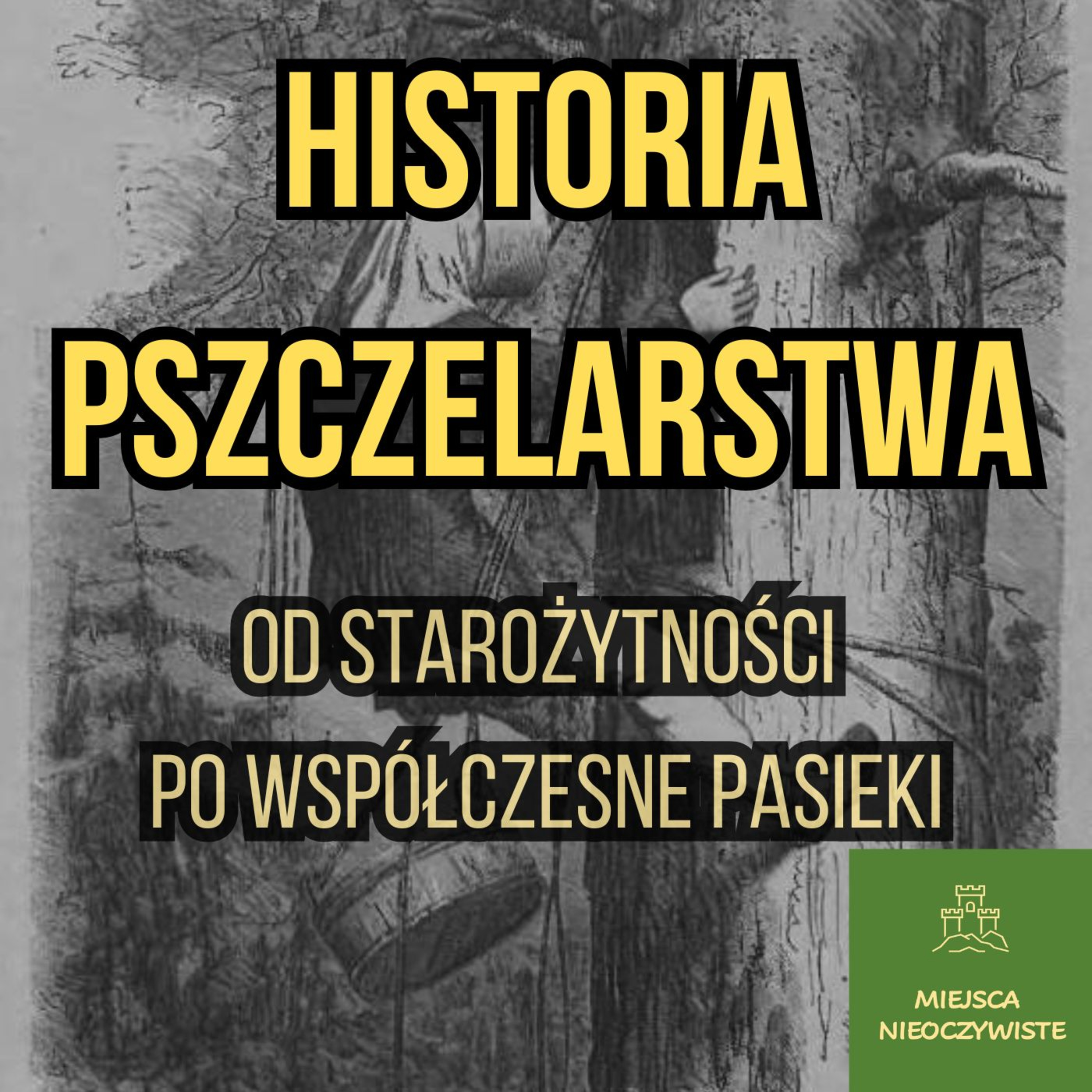 Historia pszczelarstwa. Od starożytności po współczesne pasieki episode artwork