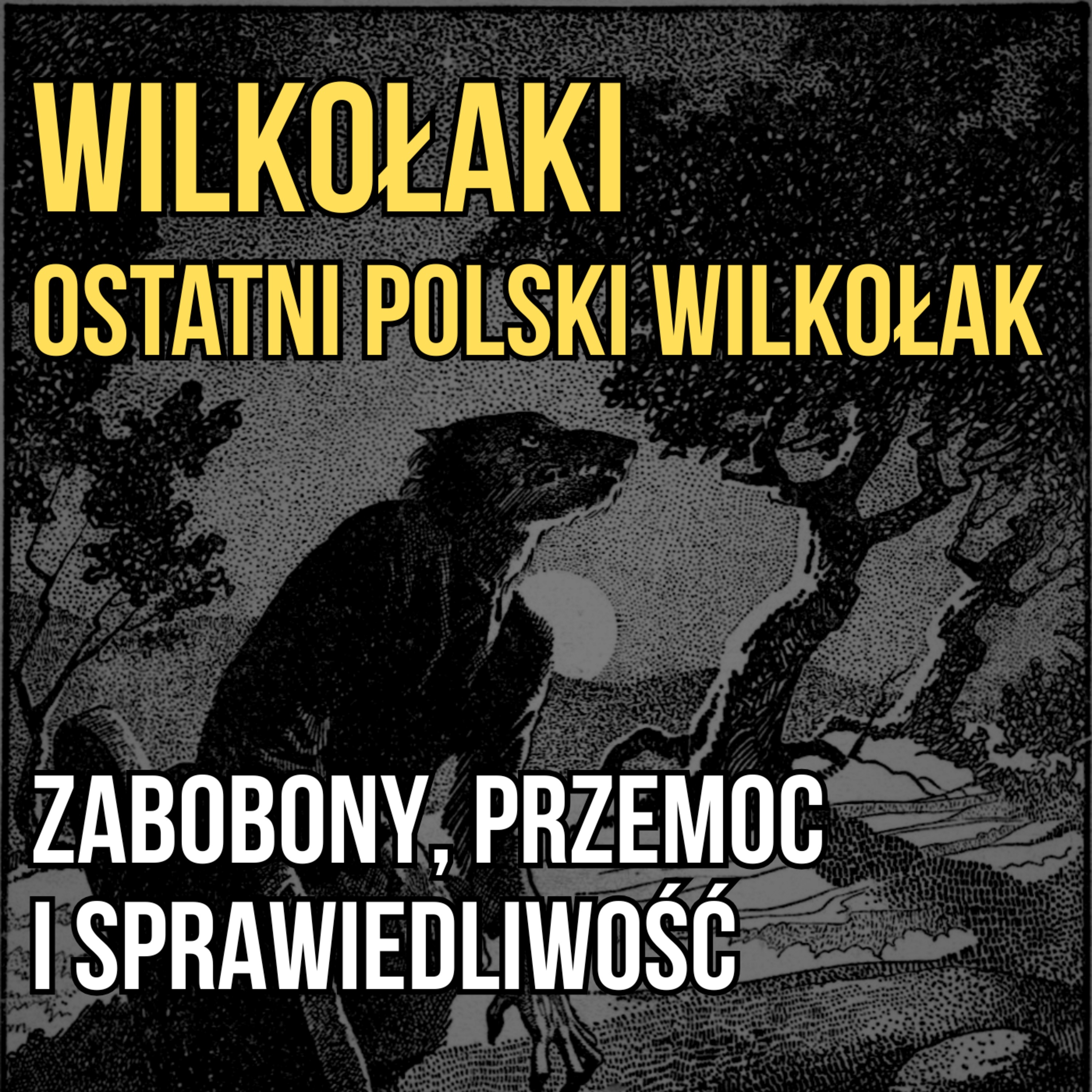 Wilkołaki i ostatni polski wilkołak. Zabobony, przemoc i sprawiedliwość  episode artwork