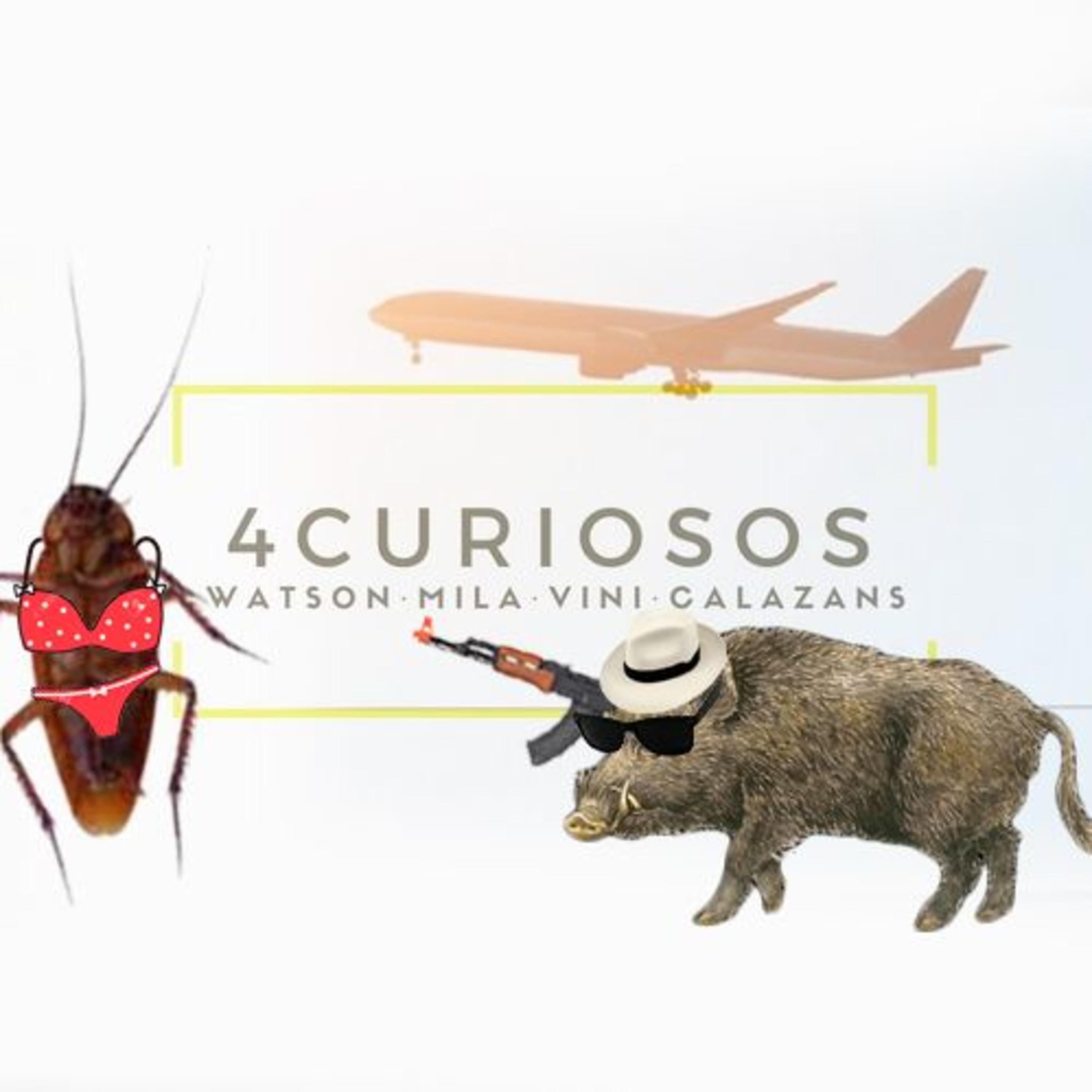 Viajar: o que pode dar de errado? com Vivi Mota #4
