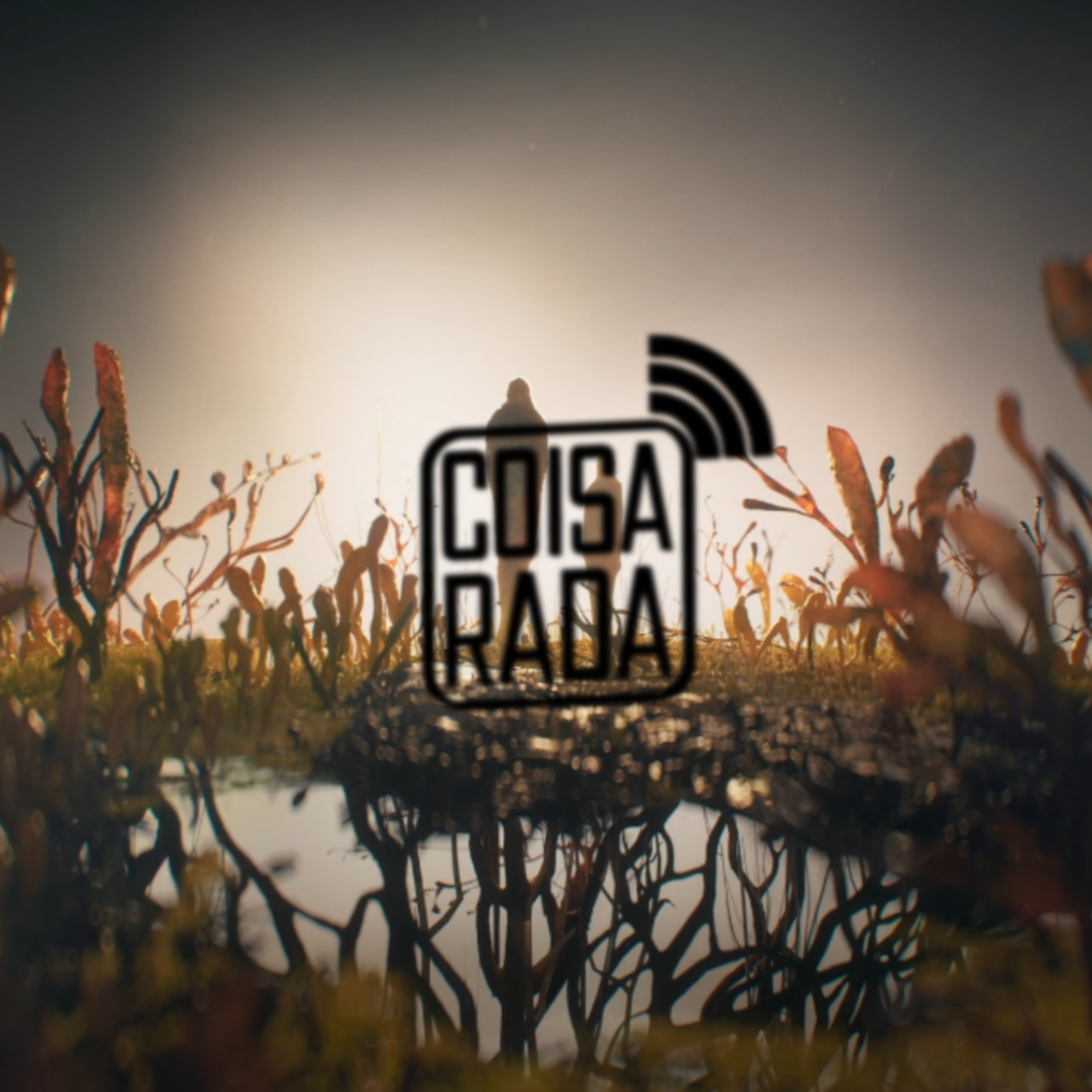 Coisarada