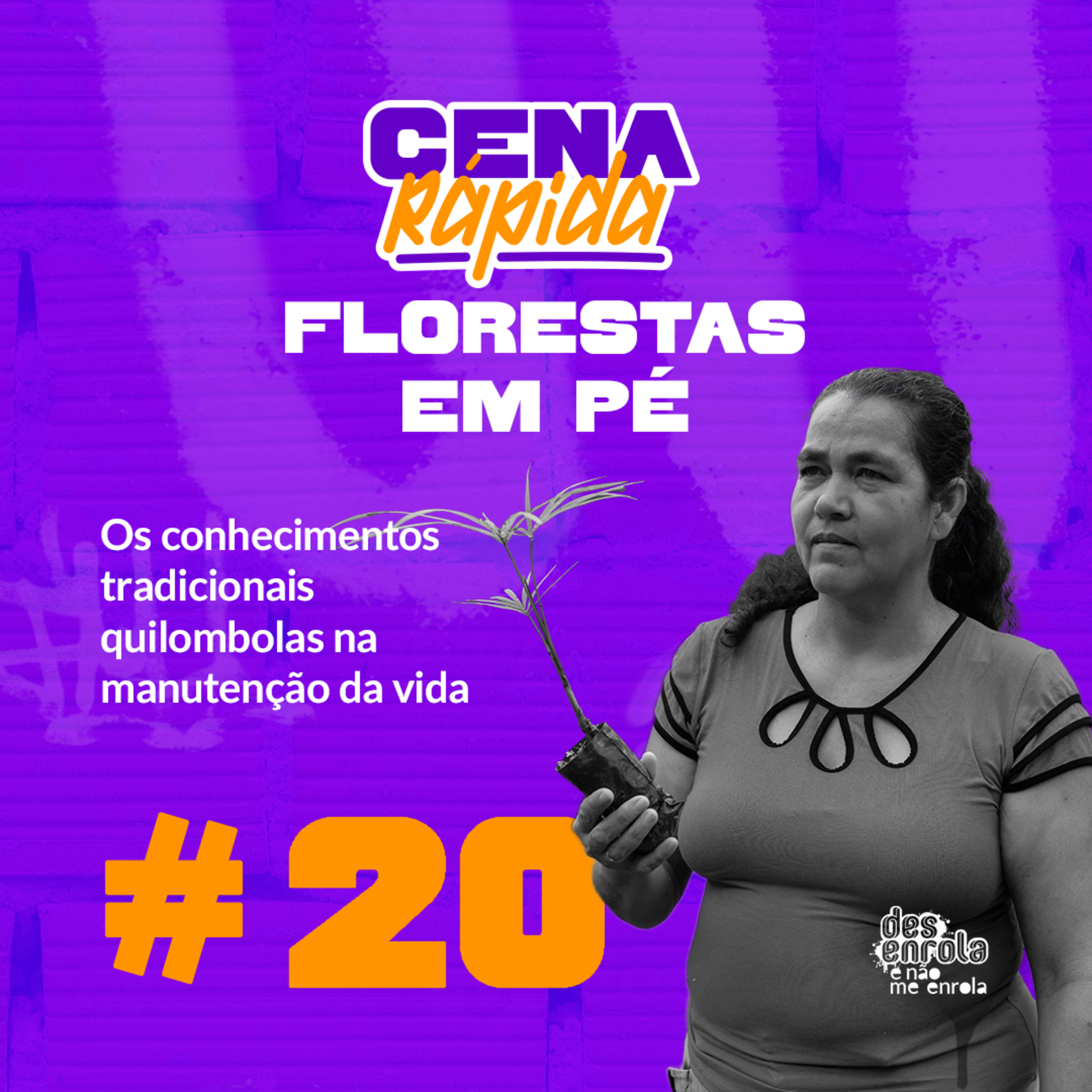 Cena Rápida