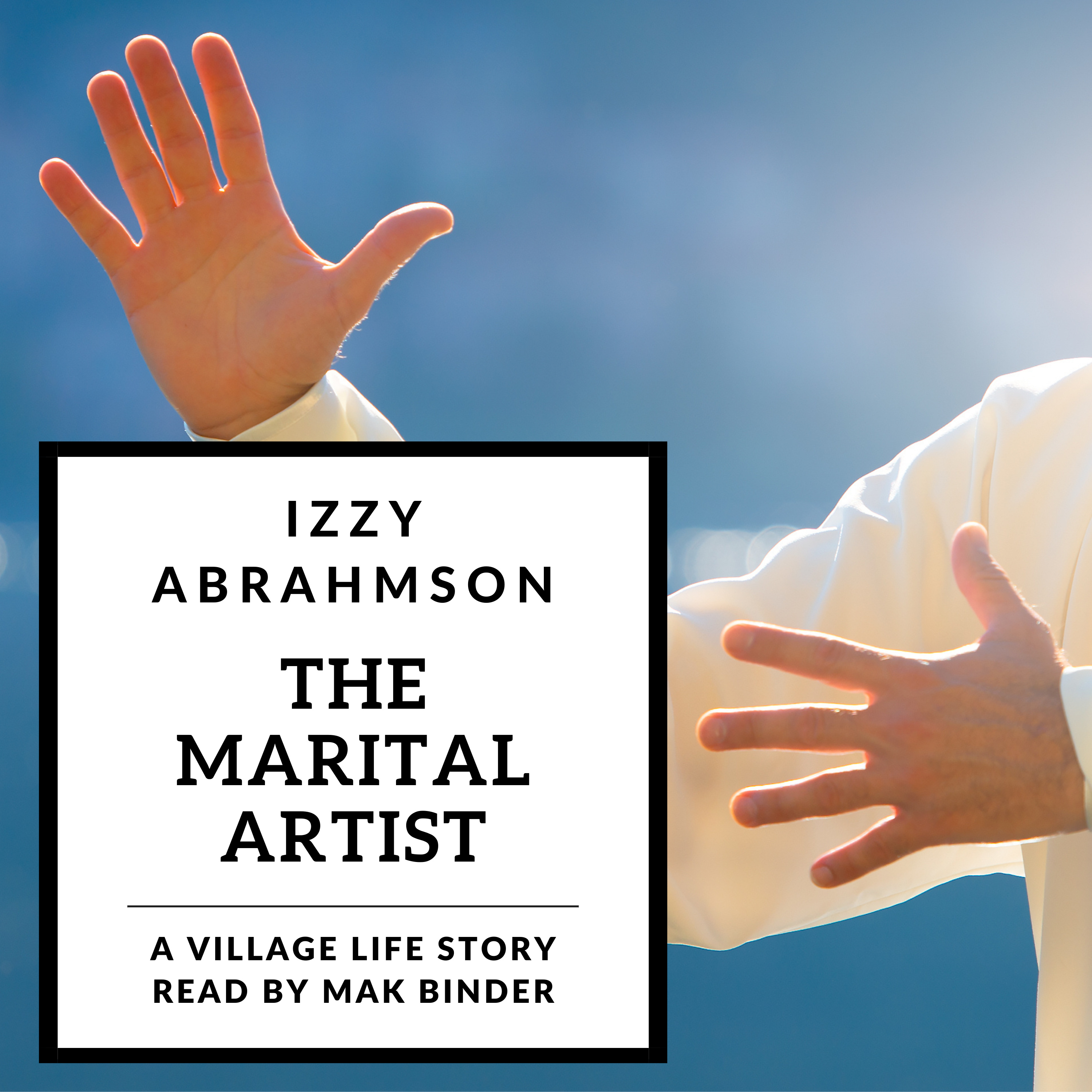 The Marital Artist episode artwork