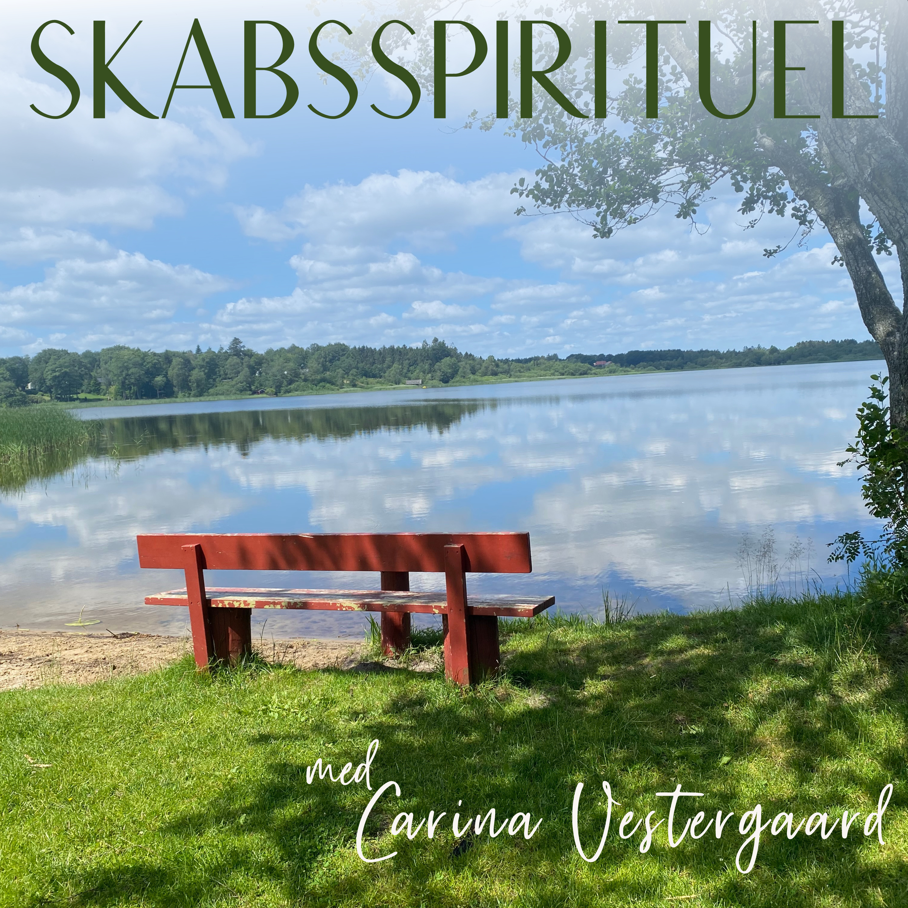 Skabsspirituel
