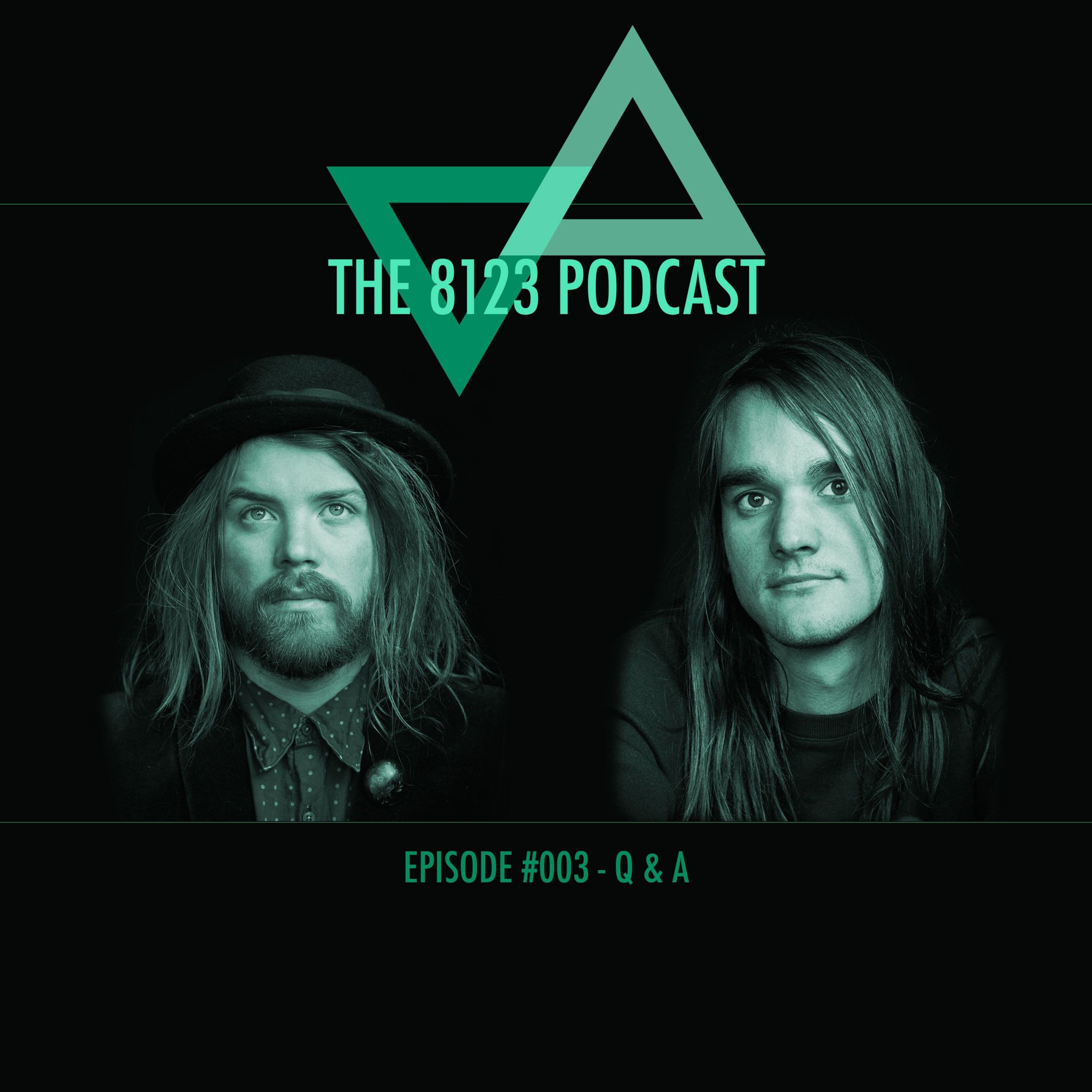 #003 - Q and A (You asked and we answered) episode artwork