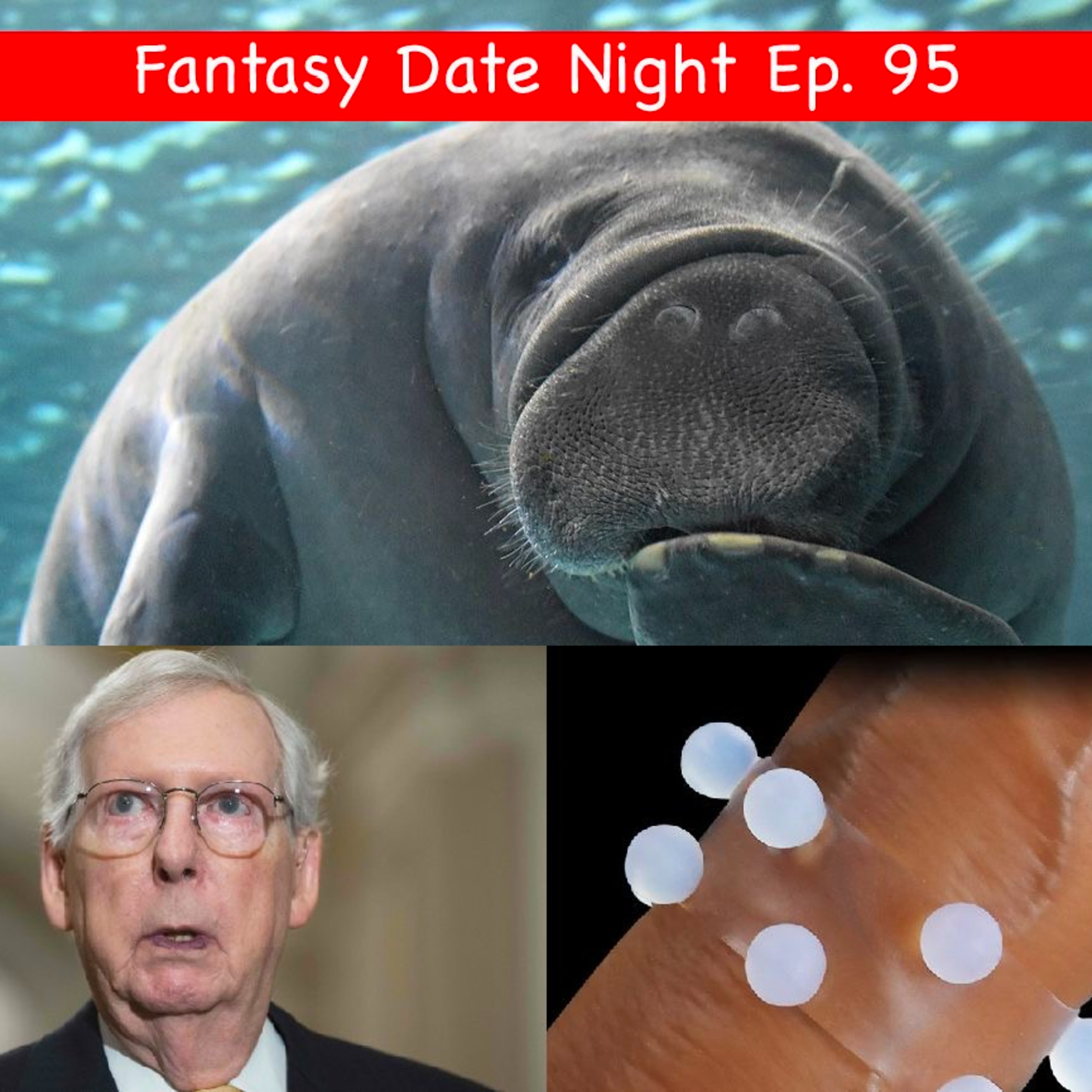 Ep 95: A Manatee/Hitler Situation episode artwork