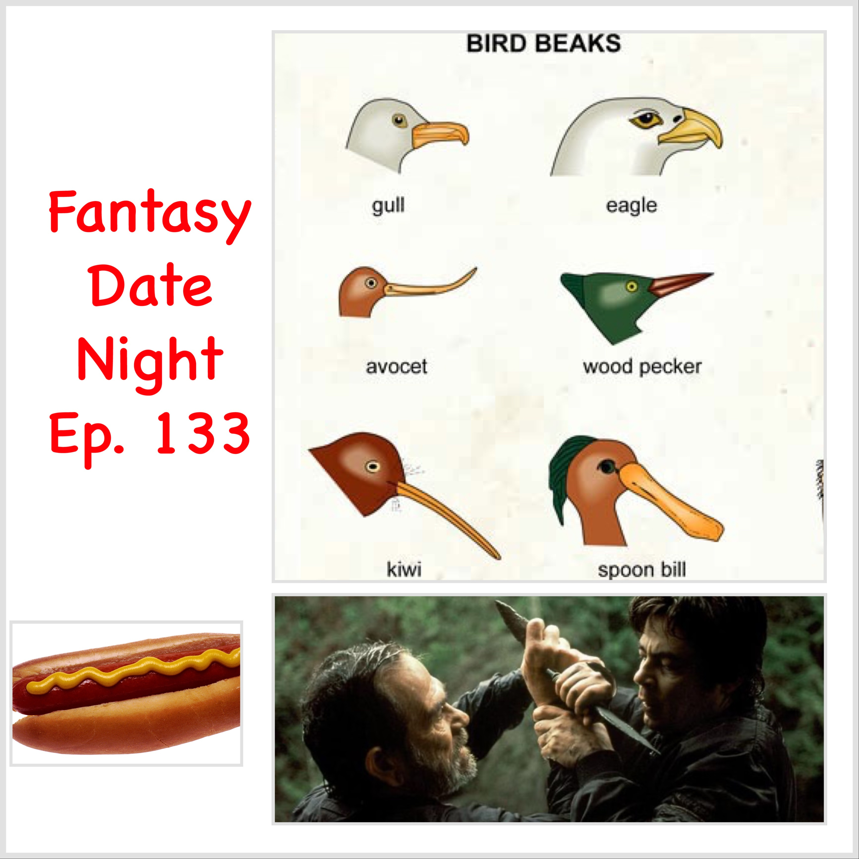 Ep 133: Bird Beaks are not the same as Human Noses/Lips episode artwork